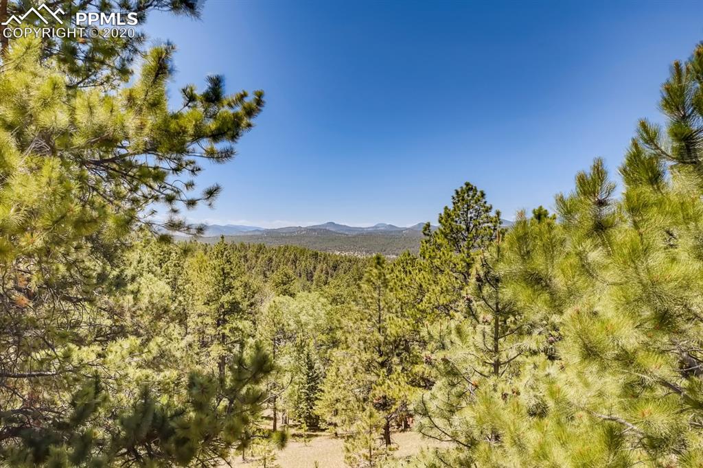 247 Pinewood Road Florissant, CO 80816 - Photo 27 of 39 a view of a garden