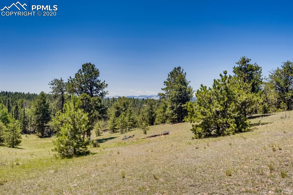 247 Pinewood Road Florissant, CO 80816 - Photo 28 of 39 a view of a field with trees in the background