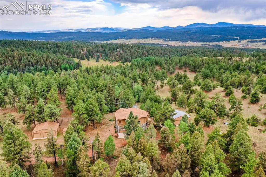 247 Pinewood Road Florissant, CO 80816 - Photo 32 of 39 a view of a lush green field with a tree in the background