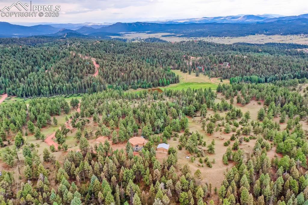 247 Pinewood Road Florissant, CO 80816 - Photo 33 of 39 a view of a lush green forest with trees and houses