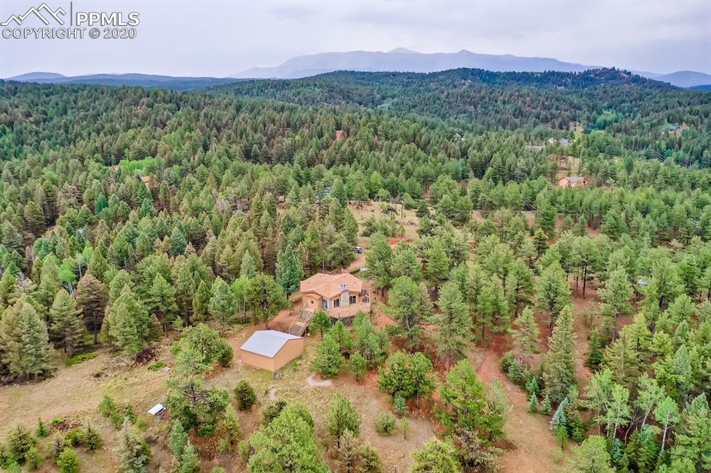 247 Pinewood Road Florissant, CO 80816 - Photo 36 of 39 a view of a forest with a street