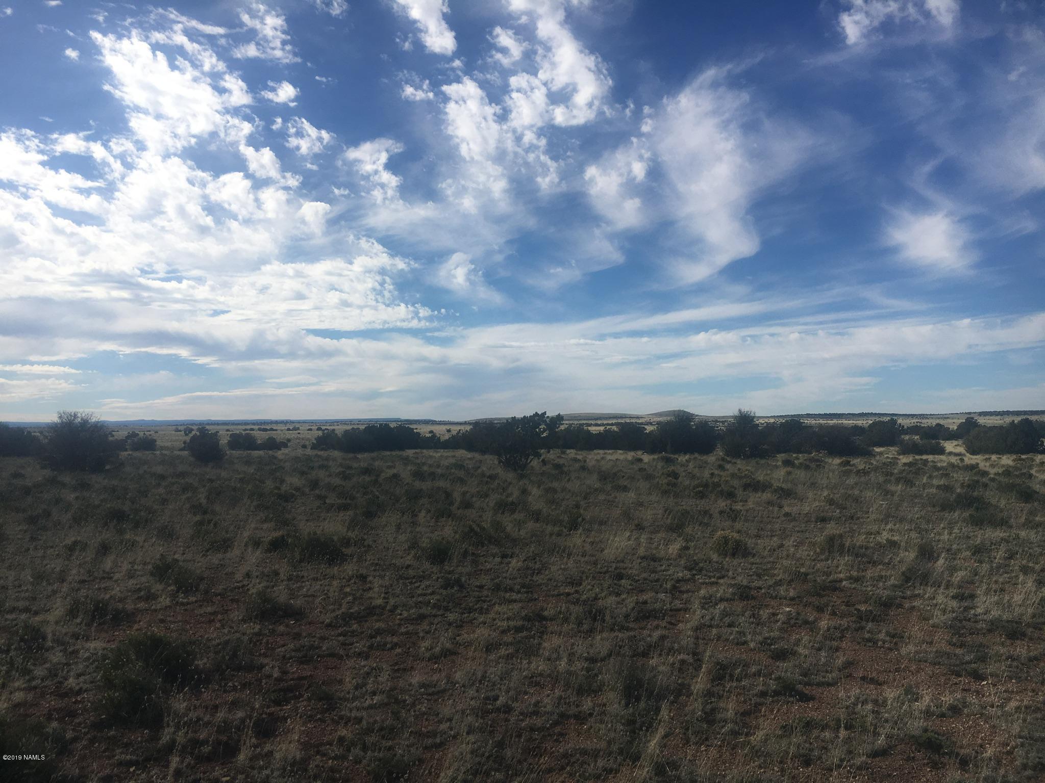 8559 Mineral Wells Road Williams, AZ 86046 - Photo 11 of 13