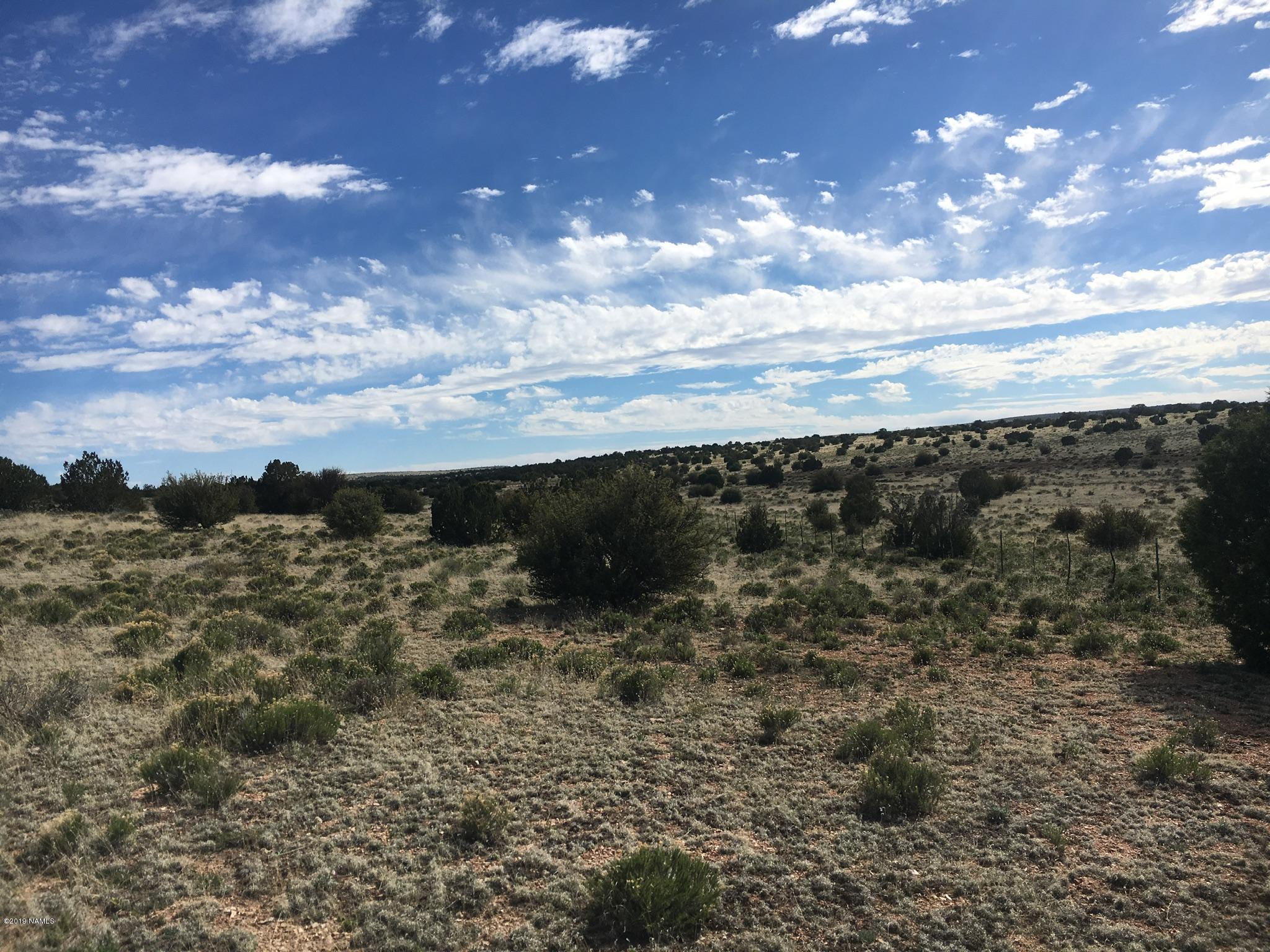 8559 Mineral Wells Road Williams, AZ 86046 - Photo 2 of 13 a view of a city