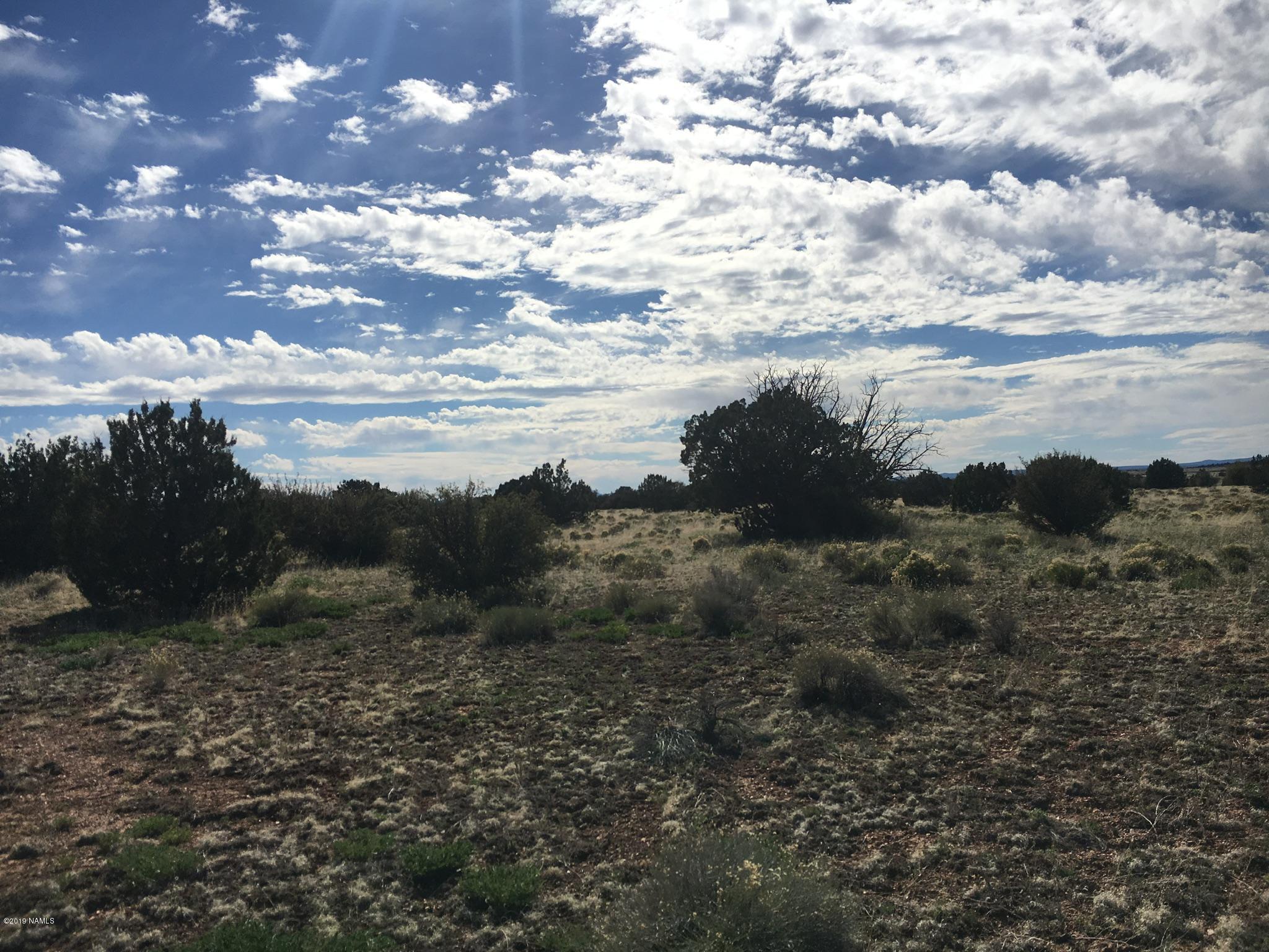 8559 Mineral Wells Road Williams, AZ 86046 - Photo 3 of 13 a view of a yard