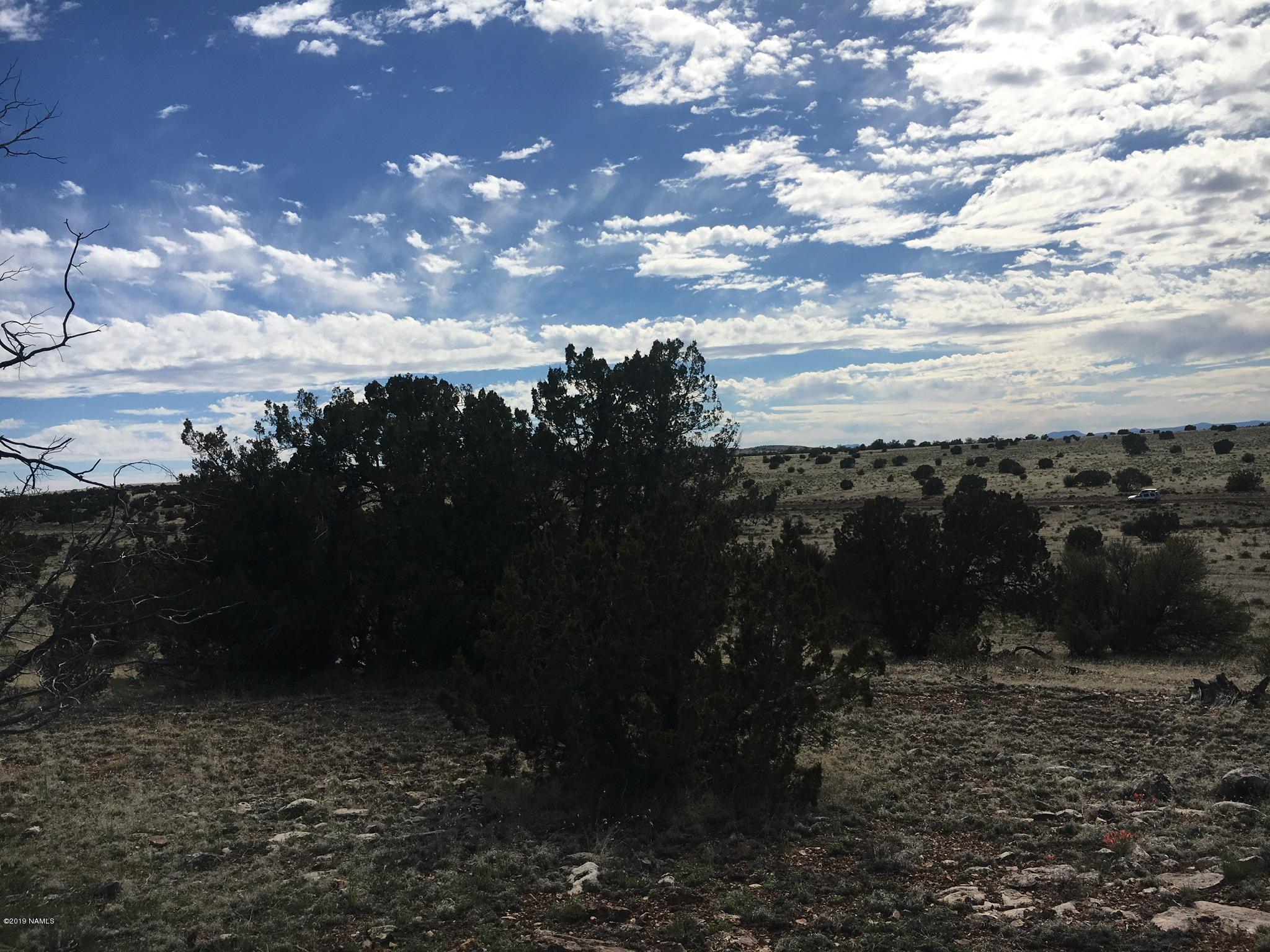 8559 Mineral Wells Road Williams, AZ 86046 - Photo 4 of 13 a view of outdoor space and city view