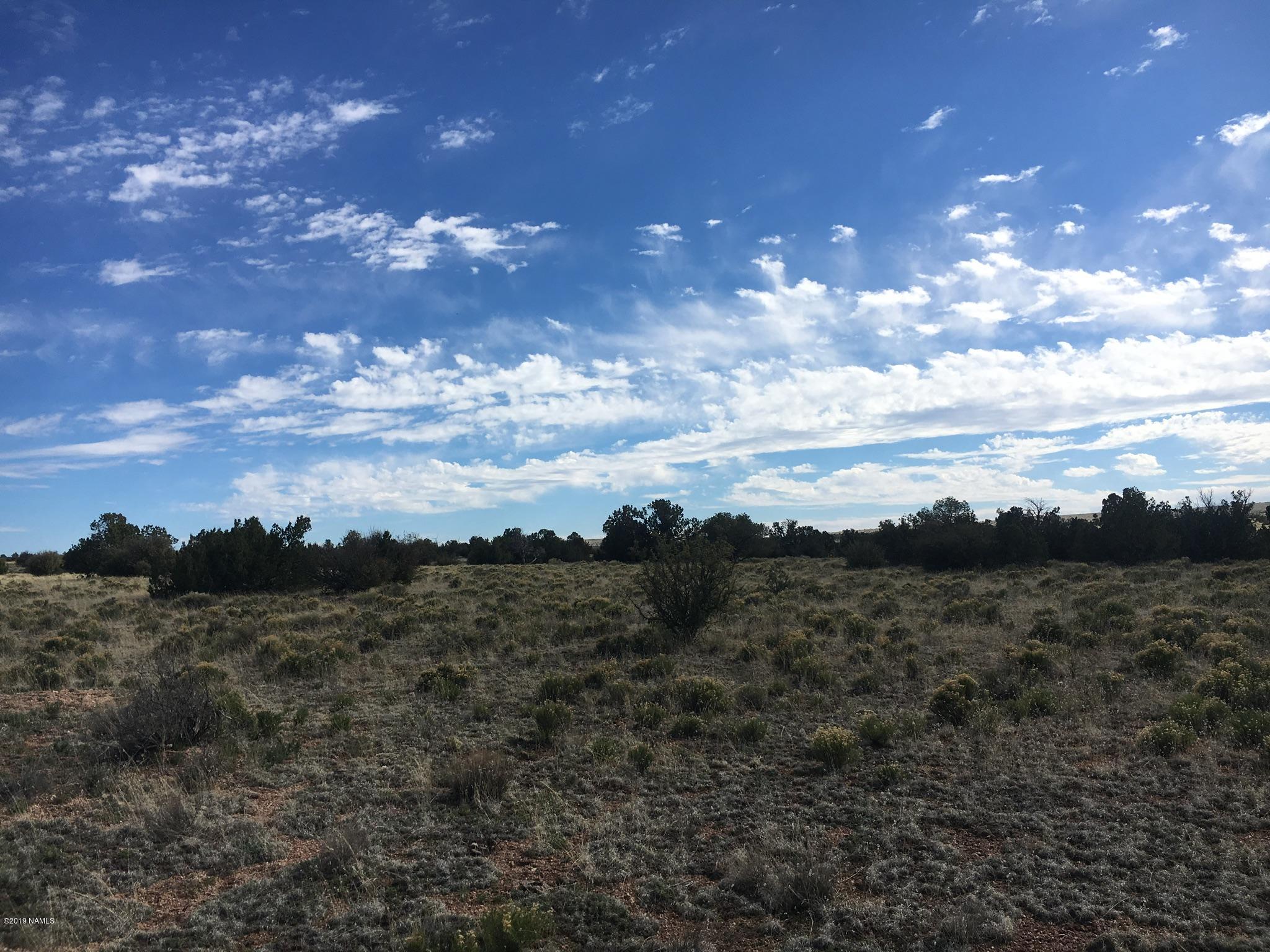 8559 Mineral Wells Road Williams, AZ 86046 - Photo 5 of 13 a view of a city with lots of trees