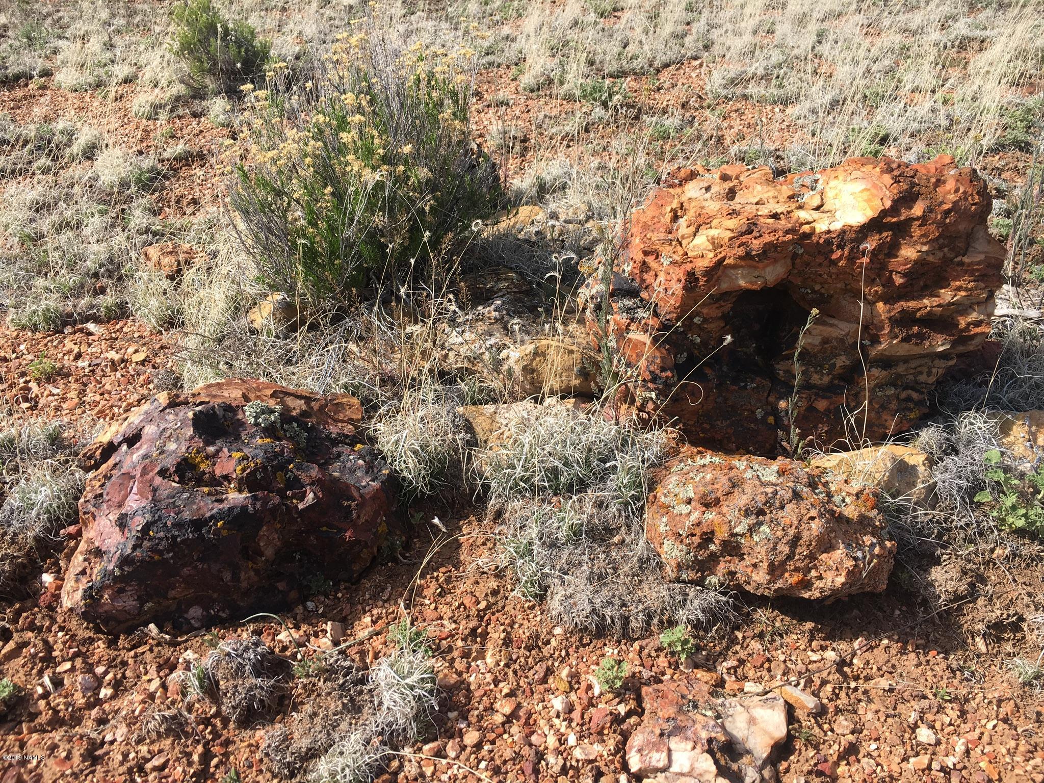 8559 Mineral Wells Road Williams, AZ 86046 - Photo 6 of 13 a view of outdoor space with covered by trees