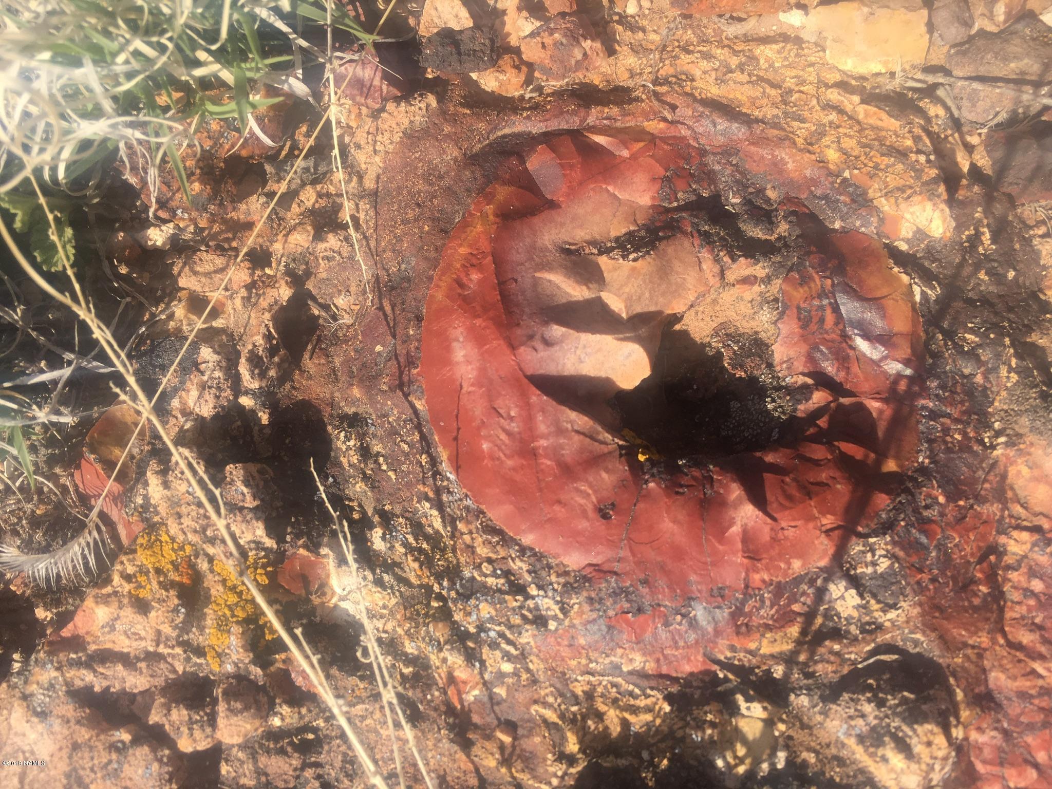 8559 Mineral Wells Road Williams, AZ 86046 - Photo 7 of 13 a view of a tree