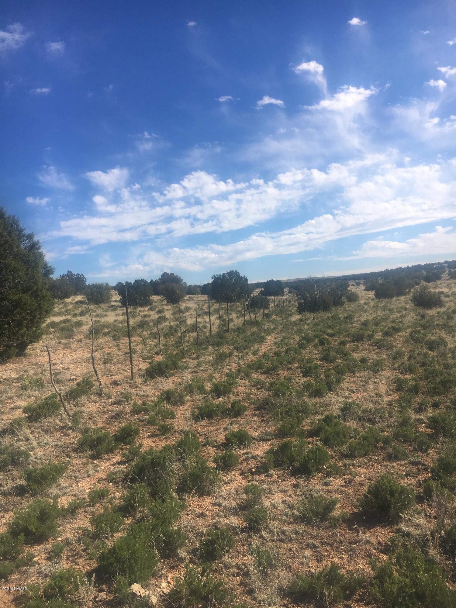 8559 Mineral Wells Road Williams, AZ 86046 - Photo 8 of 13 a view of a lake view