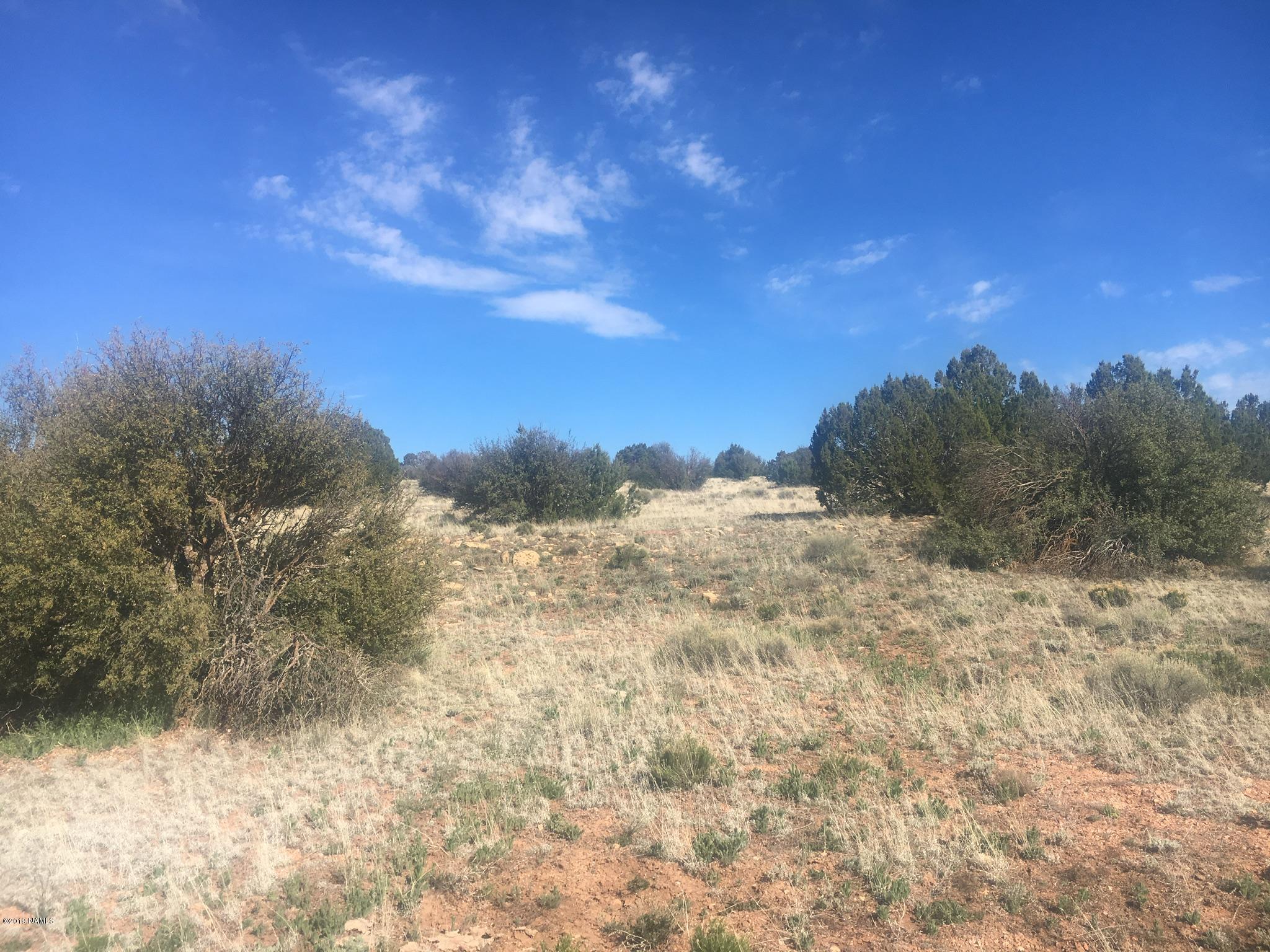 8559 Mineral Wells Road Williams, AZ 86046 - Photo 9 of 13 a view of a dry yard covered with snow in the background