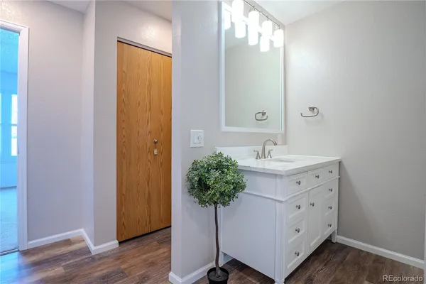 a bathroom with a sink a potted plant and a mirror