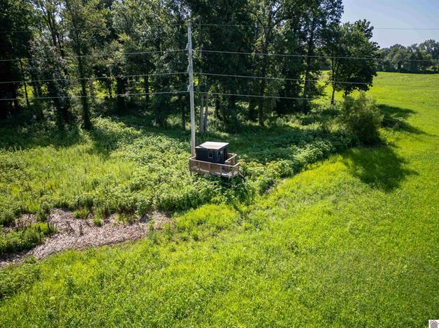 3697 County Line Road Kevil, KY 42053 - Photo 5 of 14 Deer stand