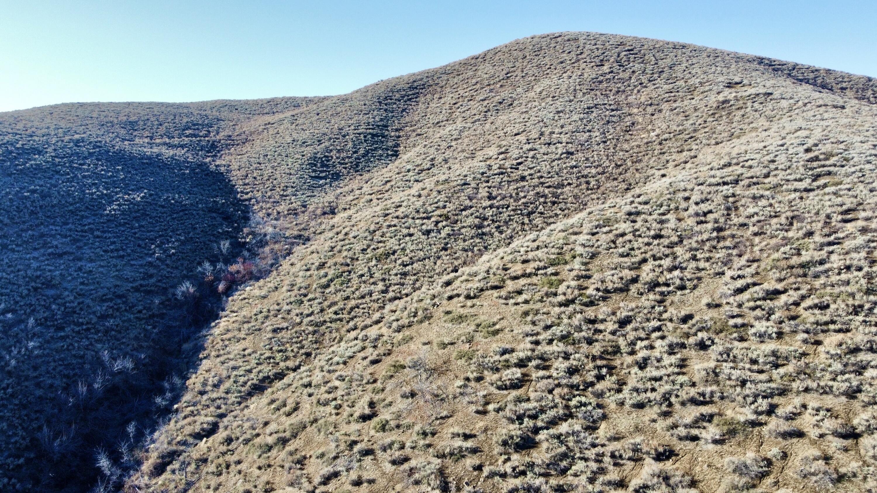 Tbd Lees Gulch Road Hailey, ID 83333 - Photo 11 of 13 Lees Gulch Rd Bellevue