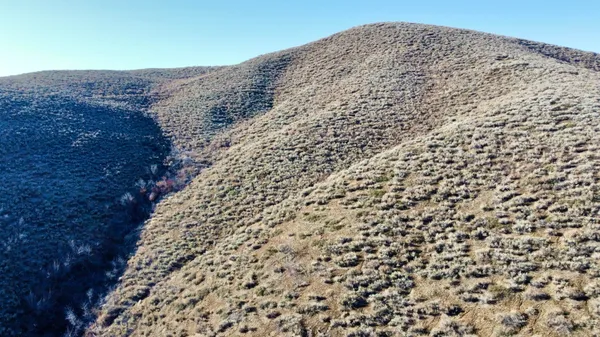 $99,000 | Tbd Lees Gulch Road, Hailey, ID 83333