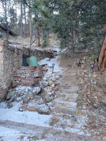 9895 Mohawk Trail Cascade, CO 80809 - Photo 11 of 12 Gallery Image 11