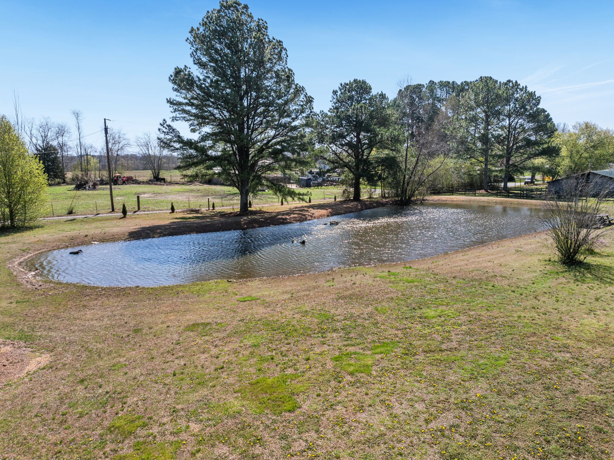 94 Dunn Road Leoma, TN 38468 - Photo 41 of 53
