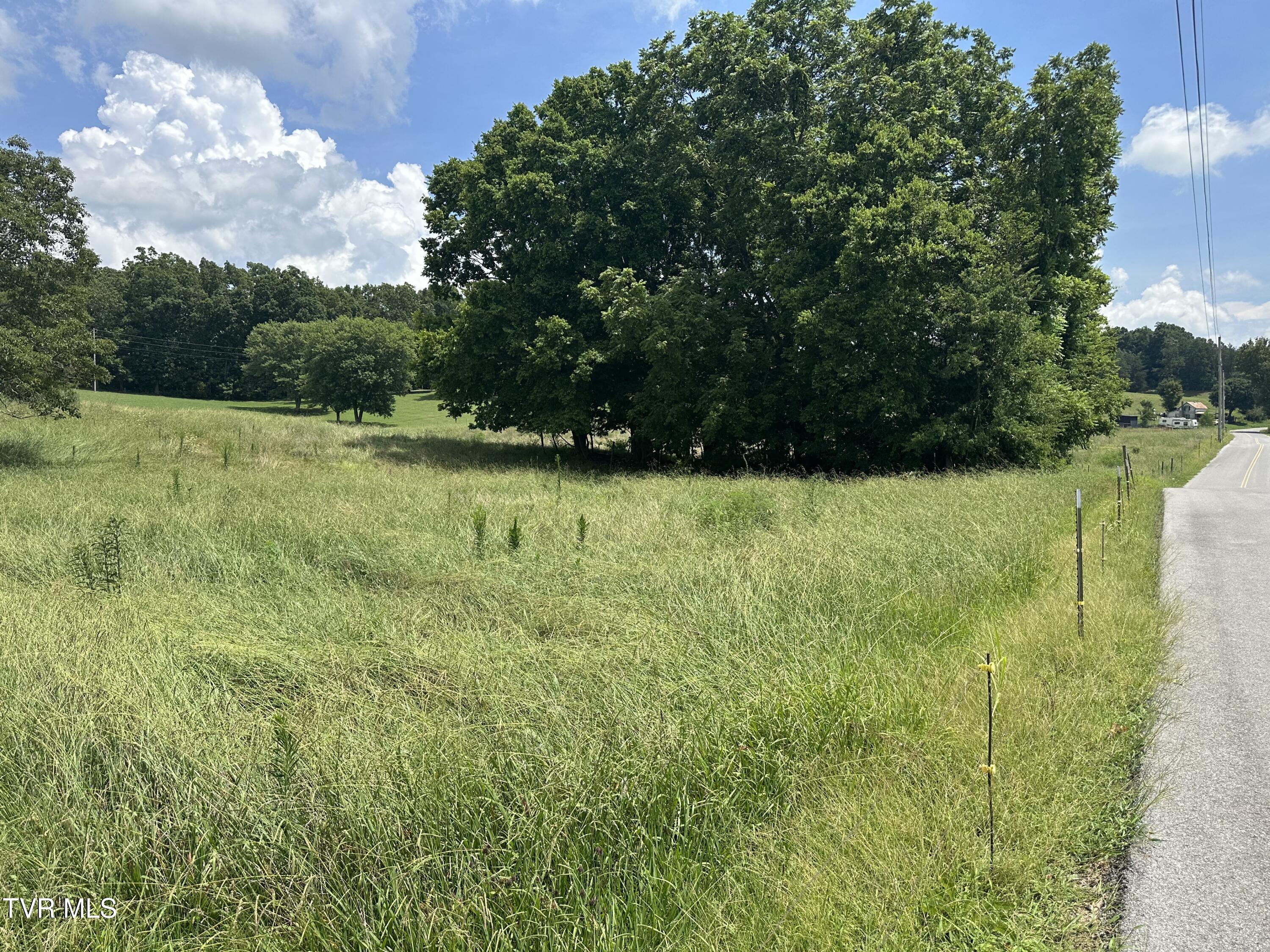 Lot 1 Shackleford Road Mosheim, TN 37818 - Photo 1 of 13 IMG_6813