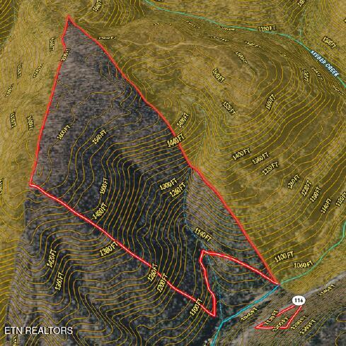 Dutch Lane Briceville, TN 37710 - Photo 2 of 2 Burnette Aerial_countour_Streams