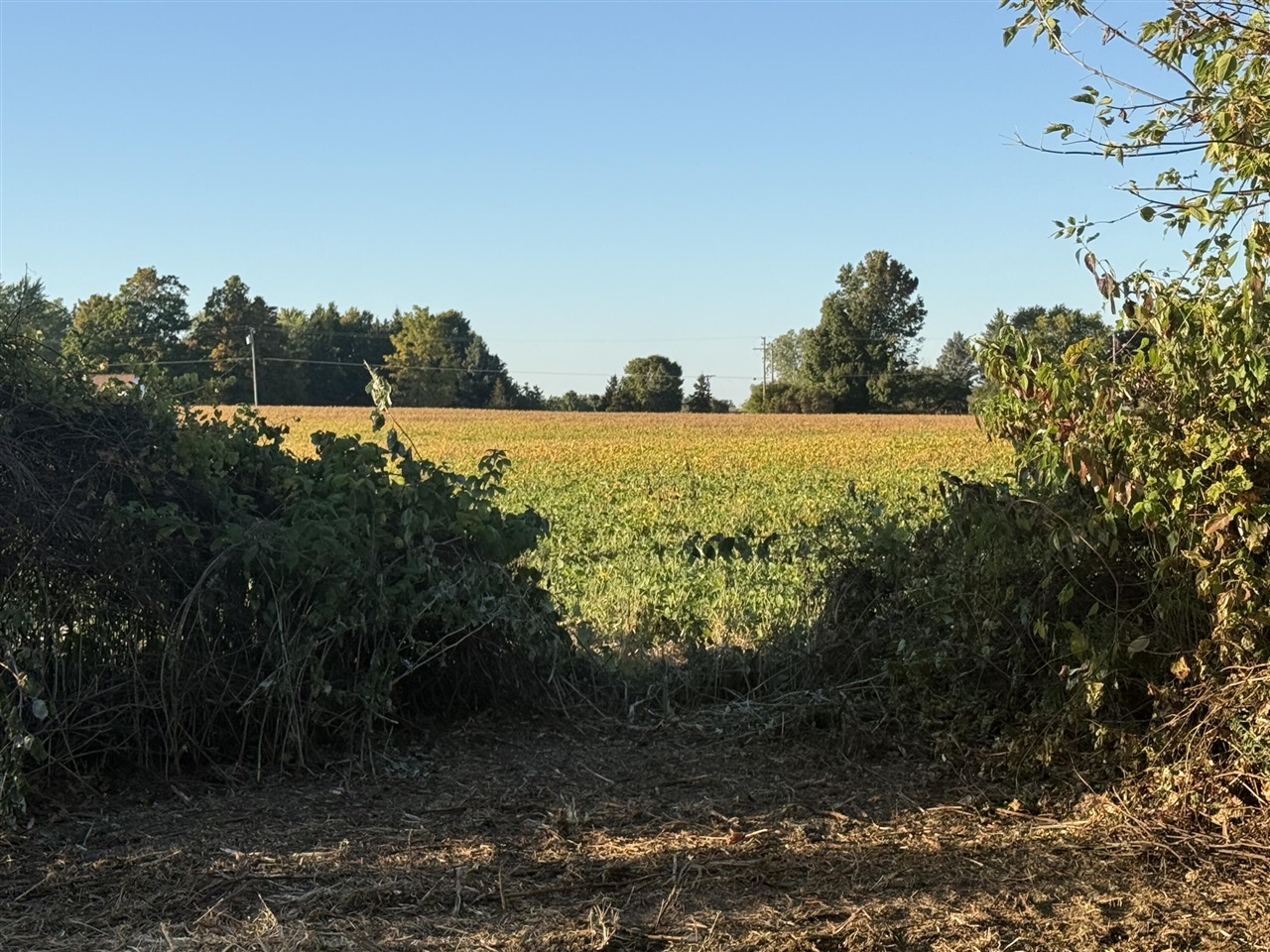 V L North Mill Road Dryden, MI 48428 - Photo 13 of 17