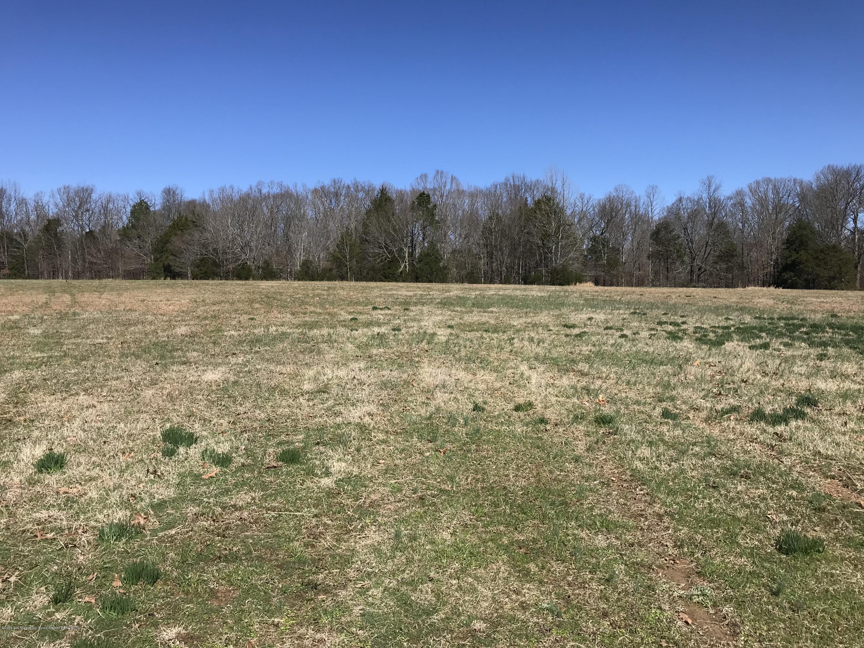 3 East Tate Road Coldwater, MS 38618 - Photo 1 of 7 Photo Mar 05, 11 01 42 AM