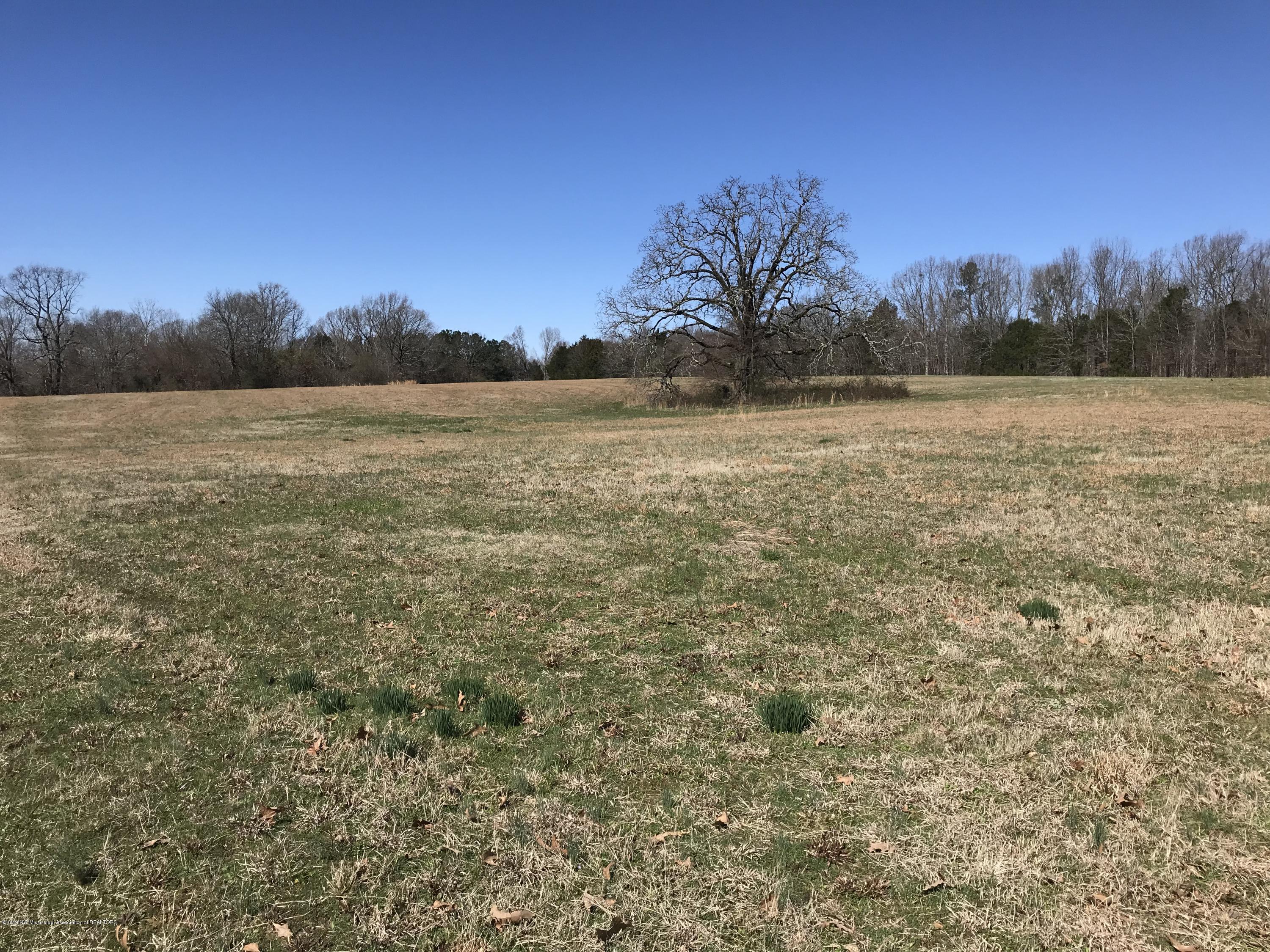 3 East Tate Road Coldwater, MS 38618 - Photo 2 of 7 Photo Mar 05, 11 01 48 AM