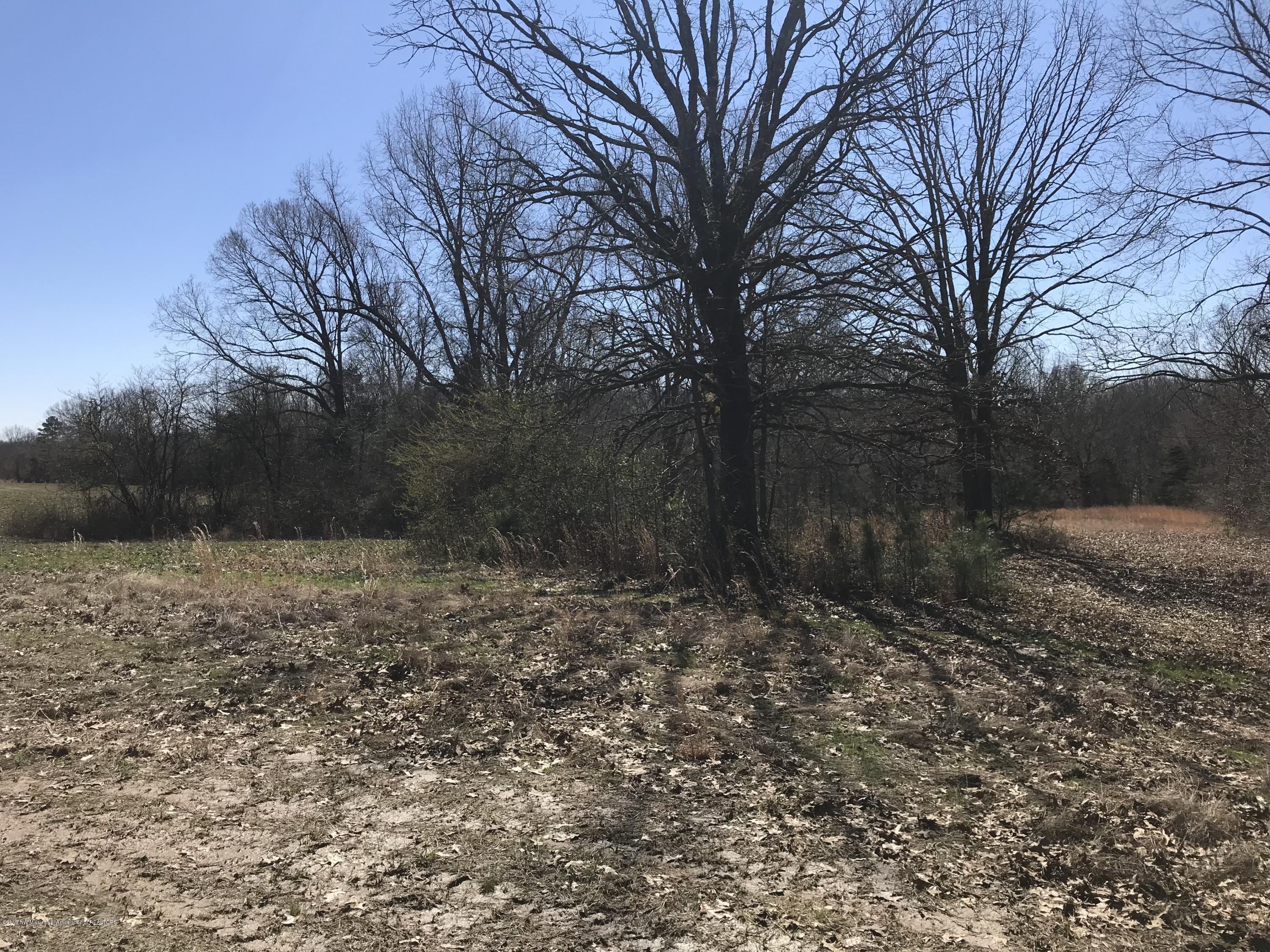 3 East Tate Road Coldwater, MS 38618 - Photo 6 of 7 Photo Mar 05, 11 04 03 AM