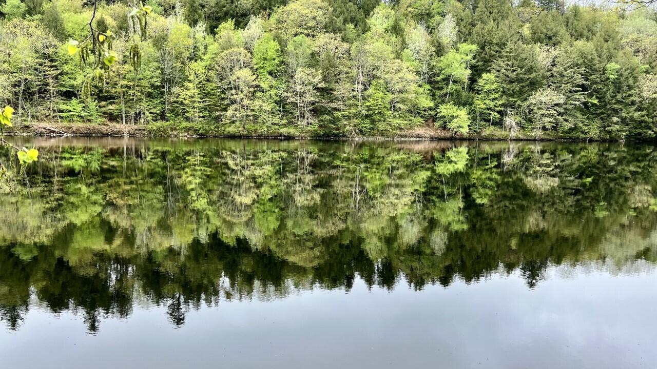 Lot 1-1 Madison Road Norridgewock, ME 04957 - Photo 11 of 20 Across the river view