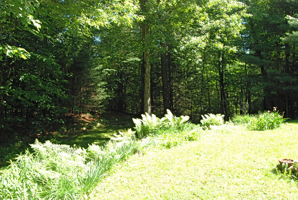 489 Old Stockbridge Road Great Barrington, MA 01230 - Photo 20 of 20 Private yard