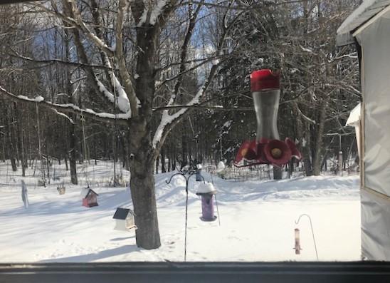 1071 Dover Road Charleston, ME 04422 - Photo 15 of 16 Nee 21