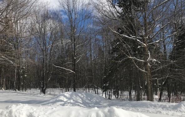 1071 Dover Road Charleston, ME 04422 - Photo 4 of 16 Nee 22