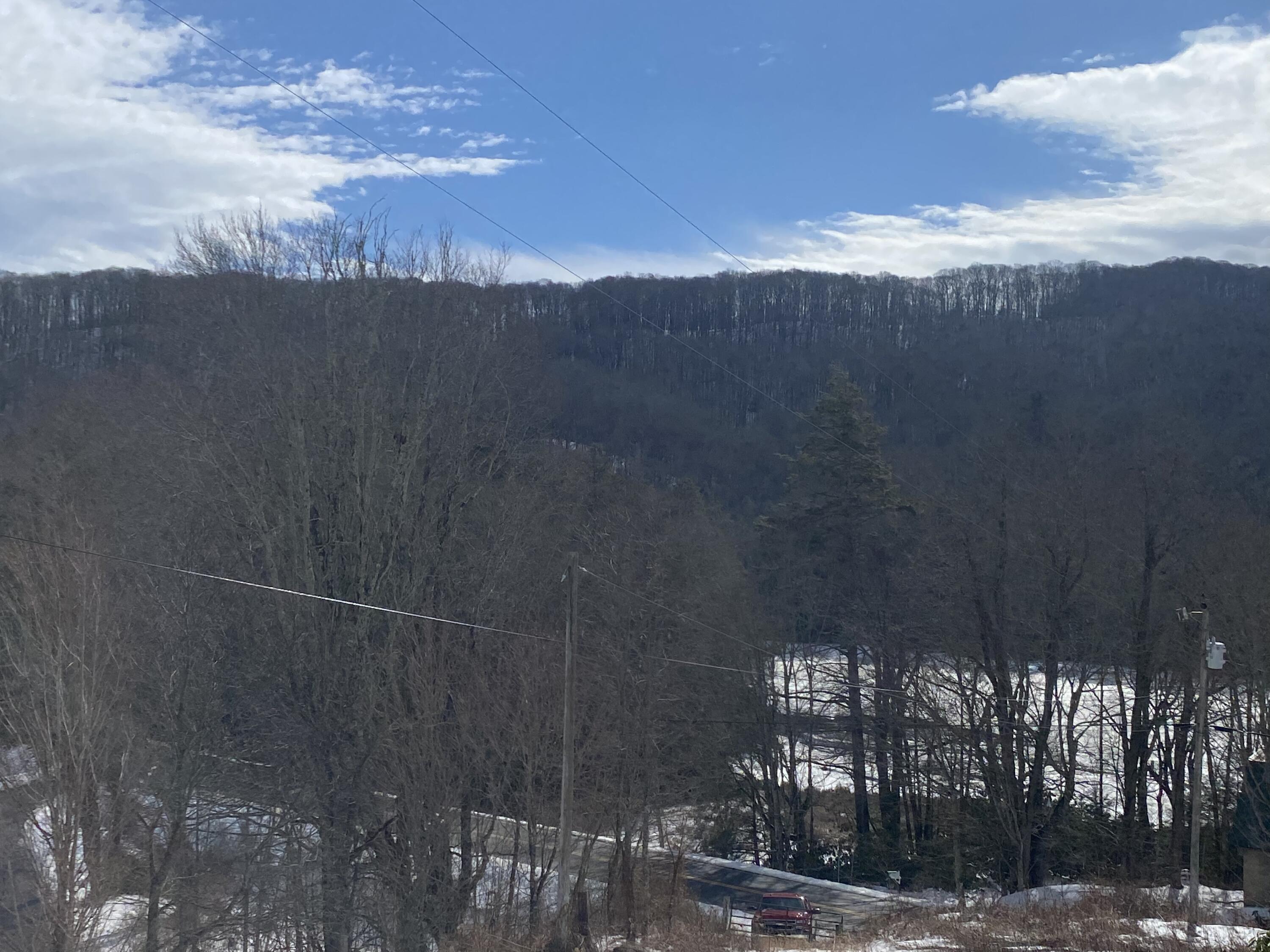 1741 Ripshin Mountain Road Roan Mountain, TN 37687 - Photo 13 of 42 735942E1-1382-4212-8D3B-E1D05435A05C