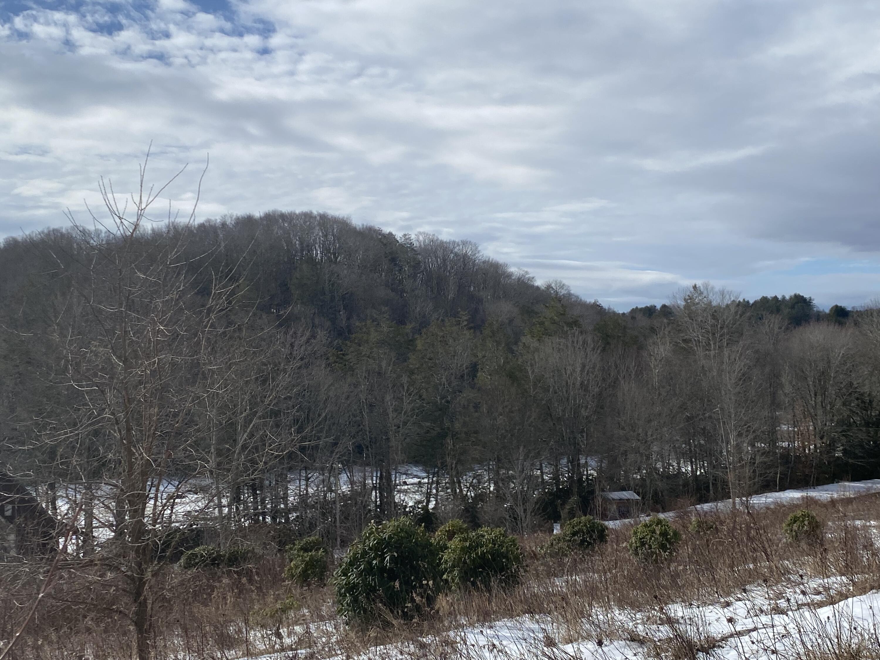 1741 Ripshin Mountain Road Roan Mountain, TN 37687 - Photo 14 of 42 C529E6C2-34A3-497F-82B9-4922E29B4175