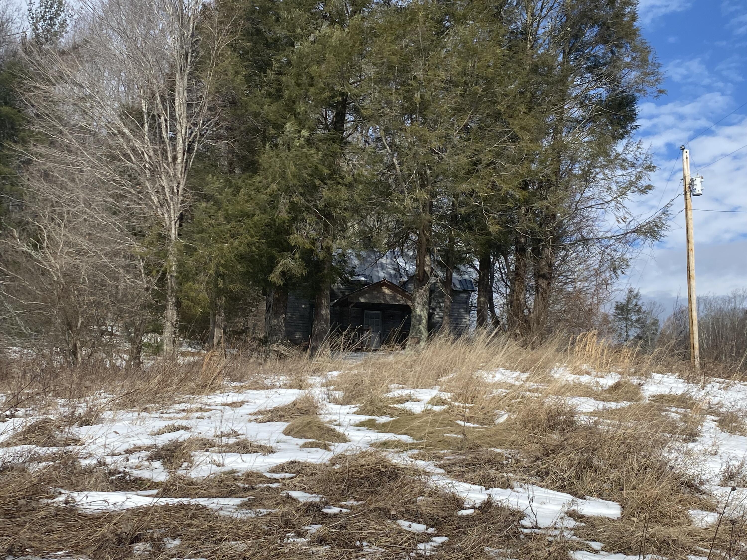 1741 Ripshin Mountain Road Roan Mountain, TN 37687 - Photo 15 of 42 DFD2FE75-3586-4086-8953-663B0684A9A8