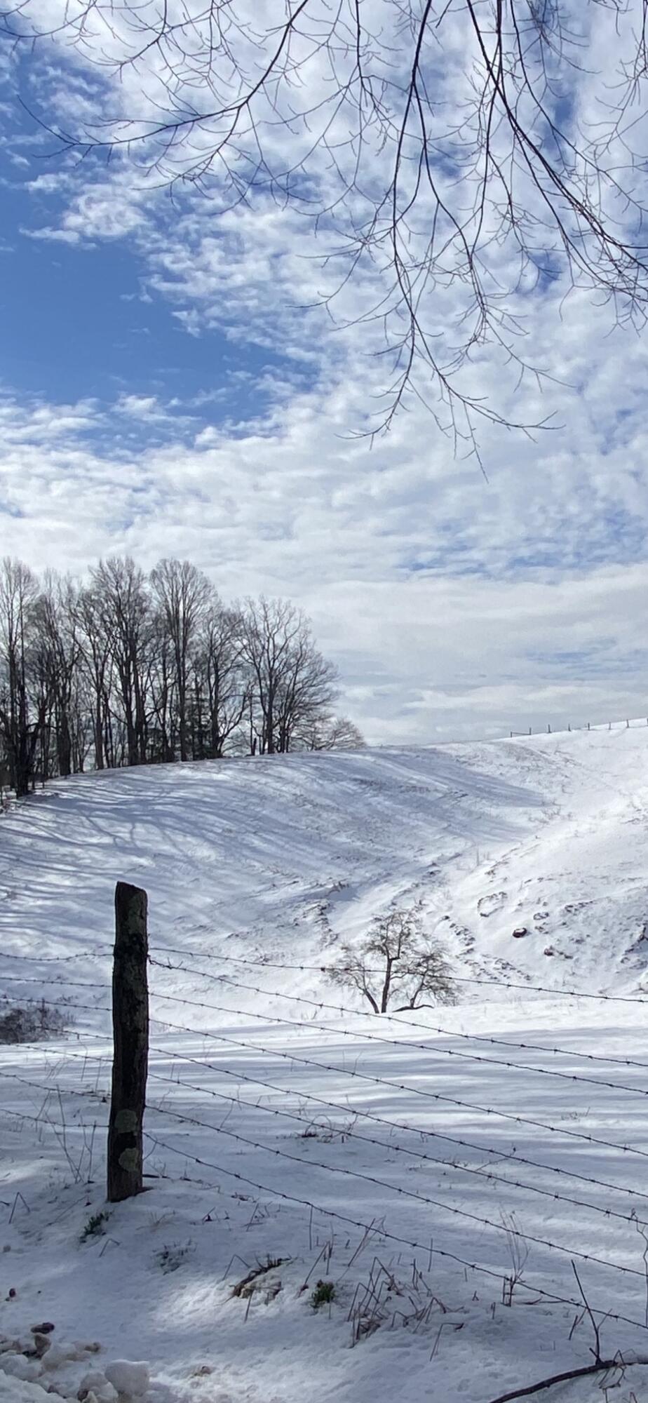 1741 Ripshin Mountain Road Roan Mountain, TN 37687 - Photo 16 of 42 8050AC02-0C11-4EC3-AE9A-BCB3AEDD0794
