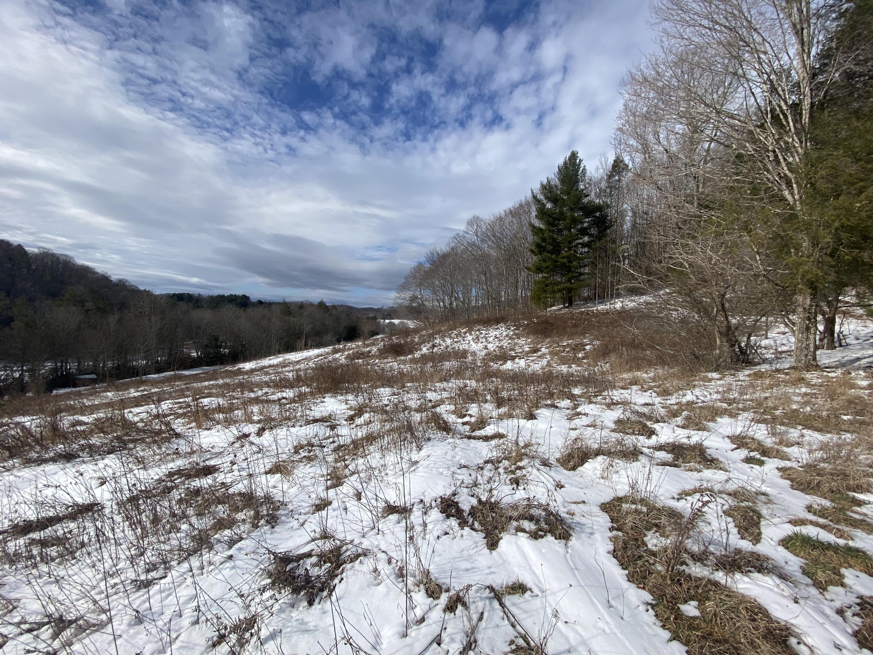 1741 Ripshin Mountain Road Roan Mountain, TN 37687 - Photo 17 of 42 980B4776-E29E-4449-846B-475DA1D4737B