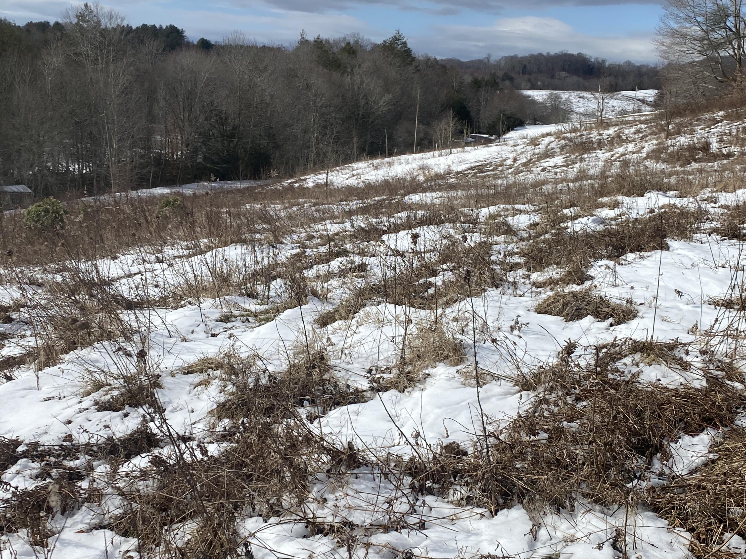 1741 Ripshin Mountain Road Roan Mountain, TN 37687 - Photo 18 of 42 1AA0894C-5C7E-4E67-AAAE-C546966CA9C6