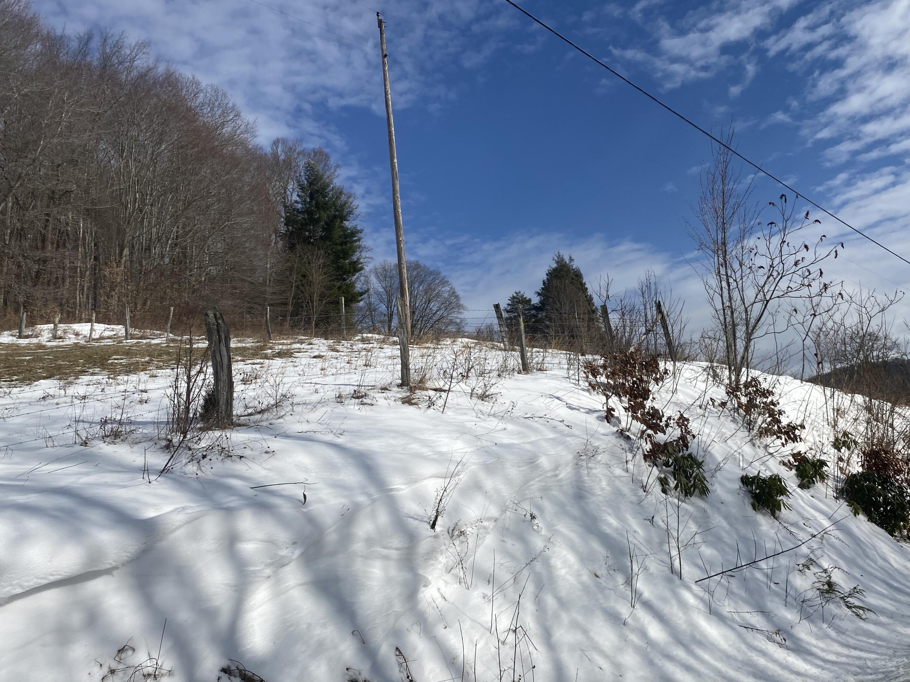 1741 Ripshin Mountain Road Roan Mountain, TN 37687 - Photo 20 of 42 070902A6-3CE8-430F-8711-0CF99E6D87AF