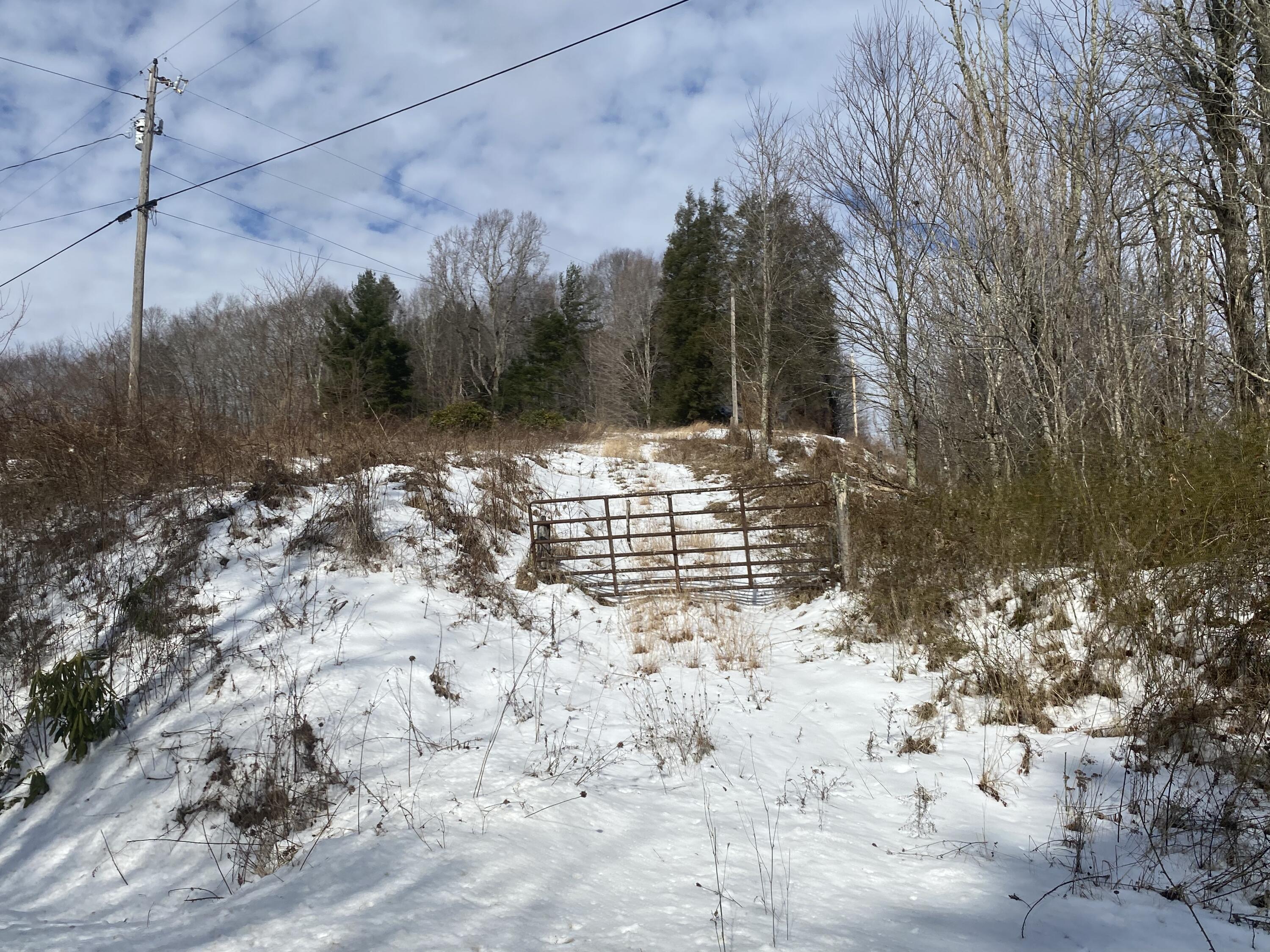 1741 Ripshin Mountain Road Roan Mountain, TN 37687 - Photo 21 of 42 E43D97AC-62A1-4F96-9761-CA89D1C9E2C6