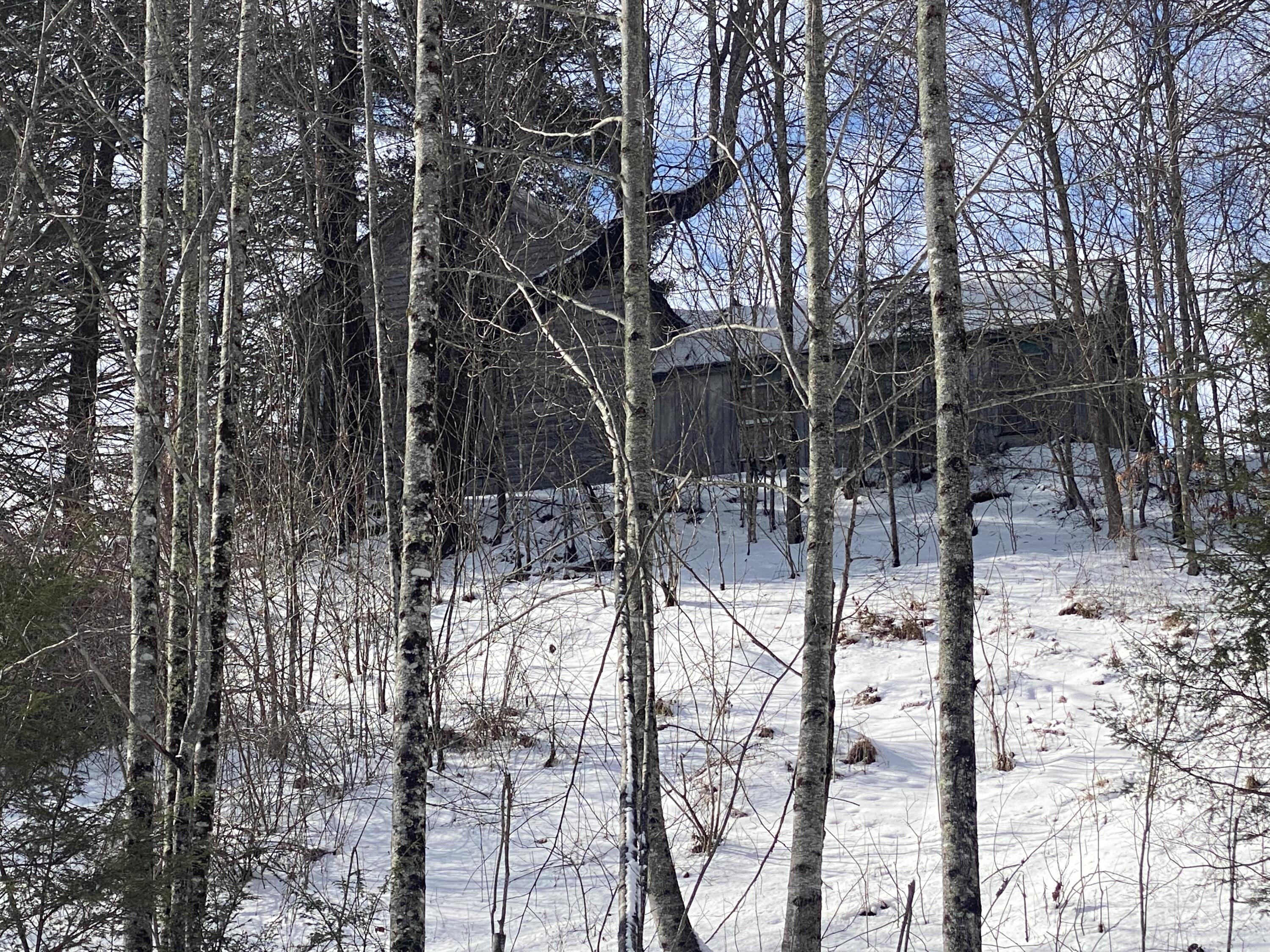 1741 Ripshin Mountain Road Roan Mountain, TN 37687 - Photo 22 of 42 72565B2C-06DC-4BFC-A059-A03218C267FA