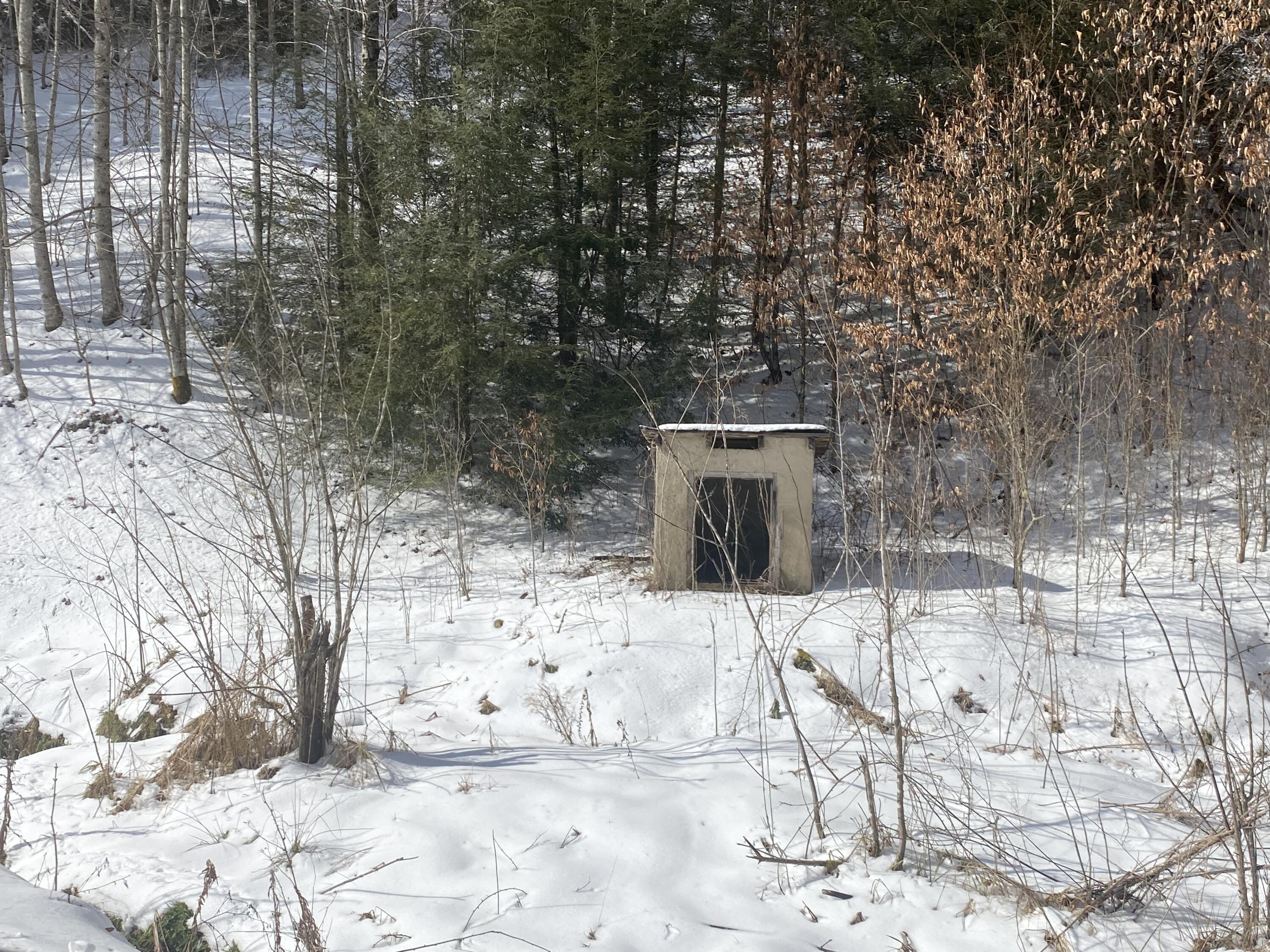 1741 Ripshin Mountain Road Roan Mountain, TN 37687 - Photo 23 of 42 B8A35190-7D93-4E2B-8D25-CAE136A98FF7