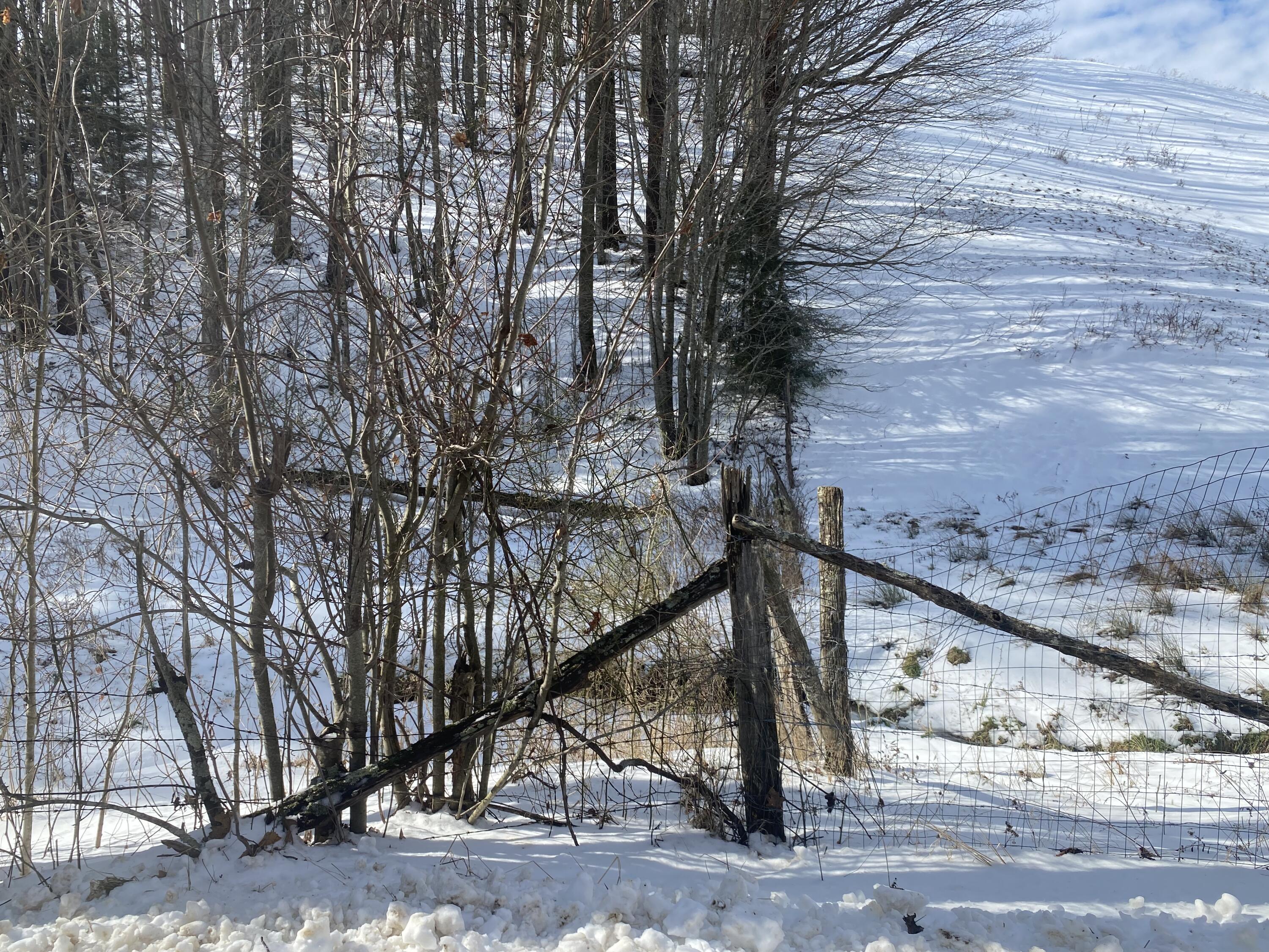 1741 Ripshin Mountain Road Roan Mountain, TN 37687 - Photo 24 of 42 80EED567-0C76-4DFD-A751-D0BCB3C668BD