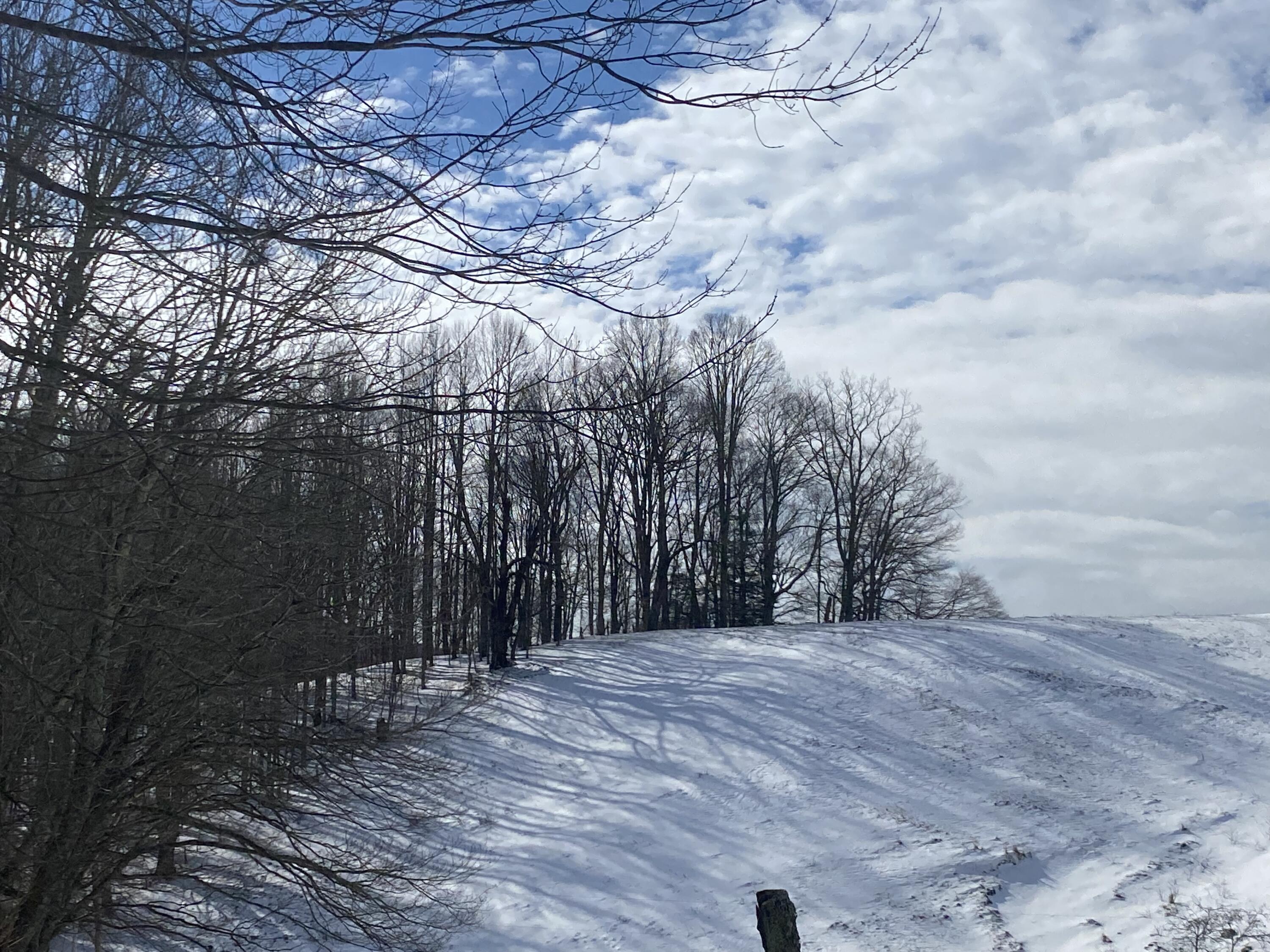 1741 Ripshin Mountain Road Roan Mountain, TN 37687 - Photo 25 of 42 67C99B59-4C51-4065-9144-812D4EE079EE