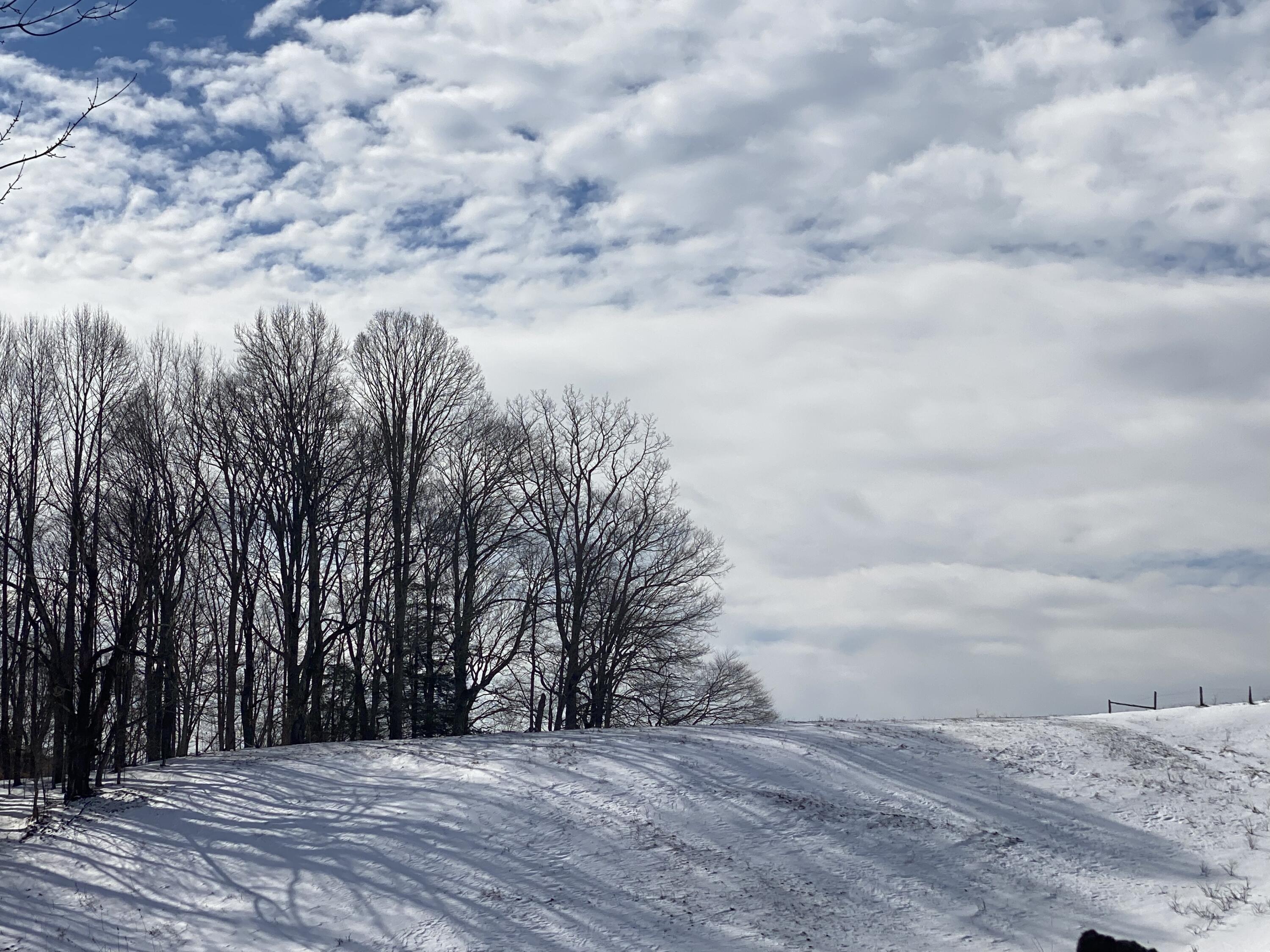 1741 Ripshin Mountain Road Roan Mountain, TN 37687 - Photo 26 of 42 D3FBB41A-E16E-4D32-8494-36AF5C9847CC