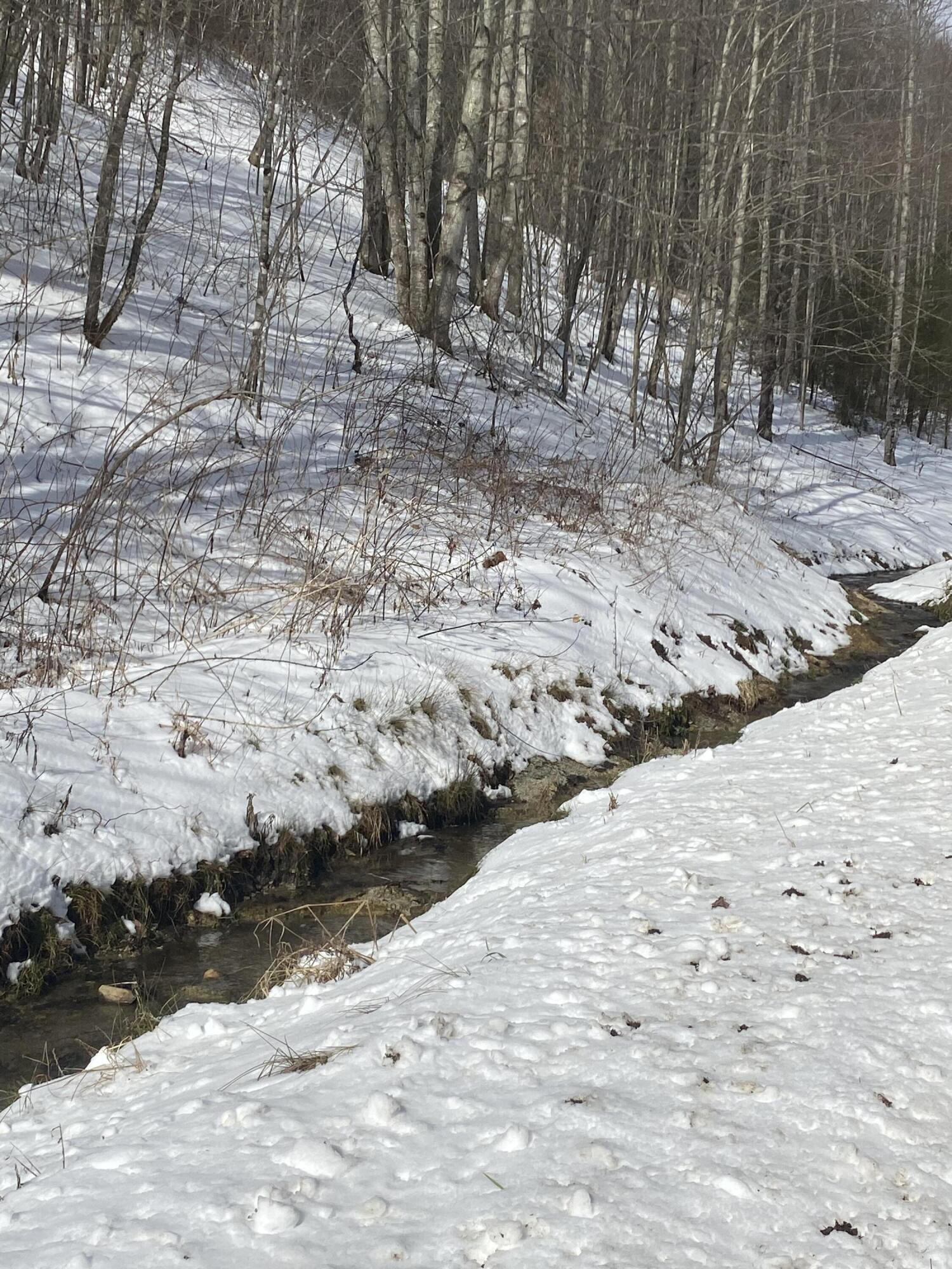 1741 Ripshin Mountain Road Roan Mountain, TN 37687 - Photo 28 of 42 FACABD0A-2B00-4AE1-AA25-680087141F8D