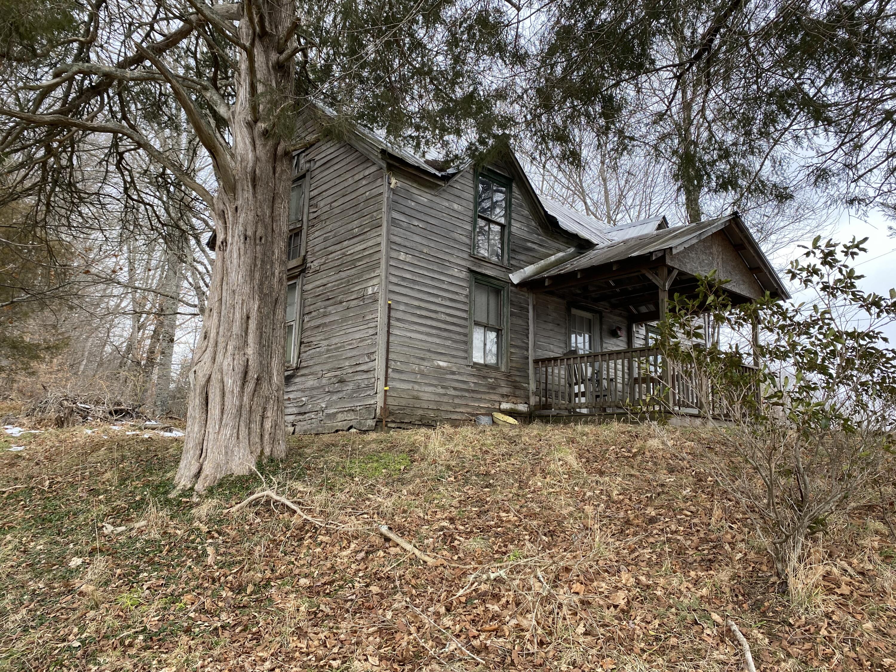 1741 Ripshin Mountain Road Roan Mountain, TN 37687 - Photo 3 of 42 56BC43D9-34D0-41F9-856E-30BFC2C096AD