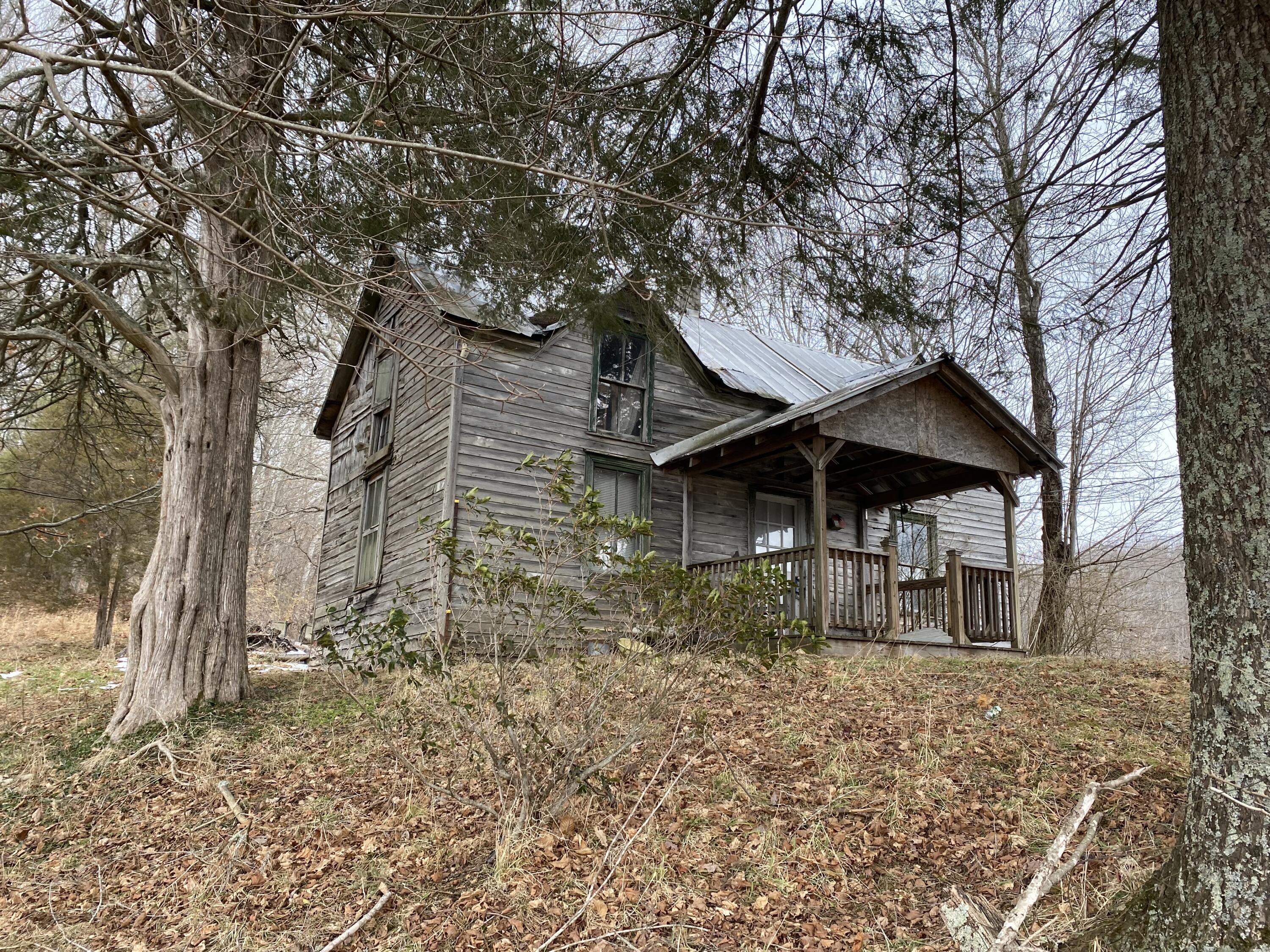 1741 Ripshin Mountain Road Roan Mountain, TN 37687 - Photo 4 of 42 0EBD48D8-0BFA-4C6F-913F-16B39D2FA315