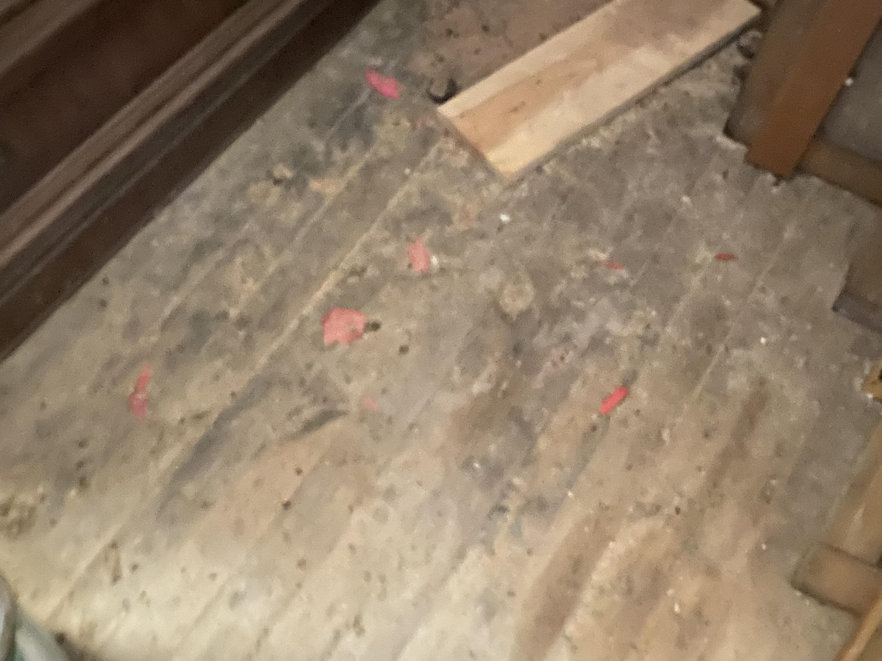 1741 Ripshin Mountain Road Roan Mountain, TN 37687 - Photo 41 of 42 7885A8BA-A5EA-4D18-9A3D-F05B4162FAC1