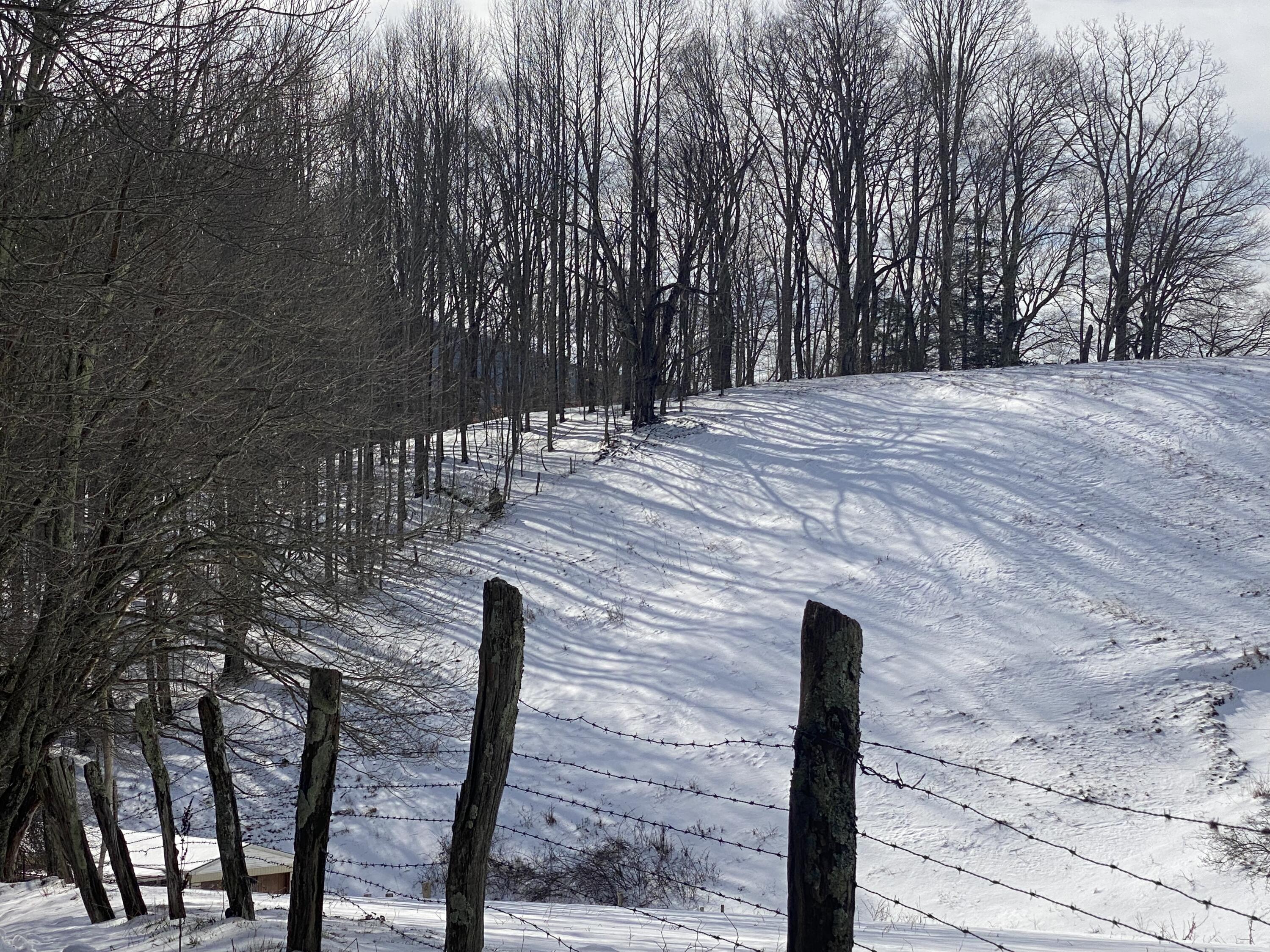 1741 Ripshin Mountain Road Roan Mountain, TN 37687 - Photo 42 of 42 00A5BF44-B8C2-4489-92AD-C0B3EE516CB7