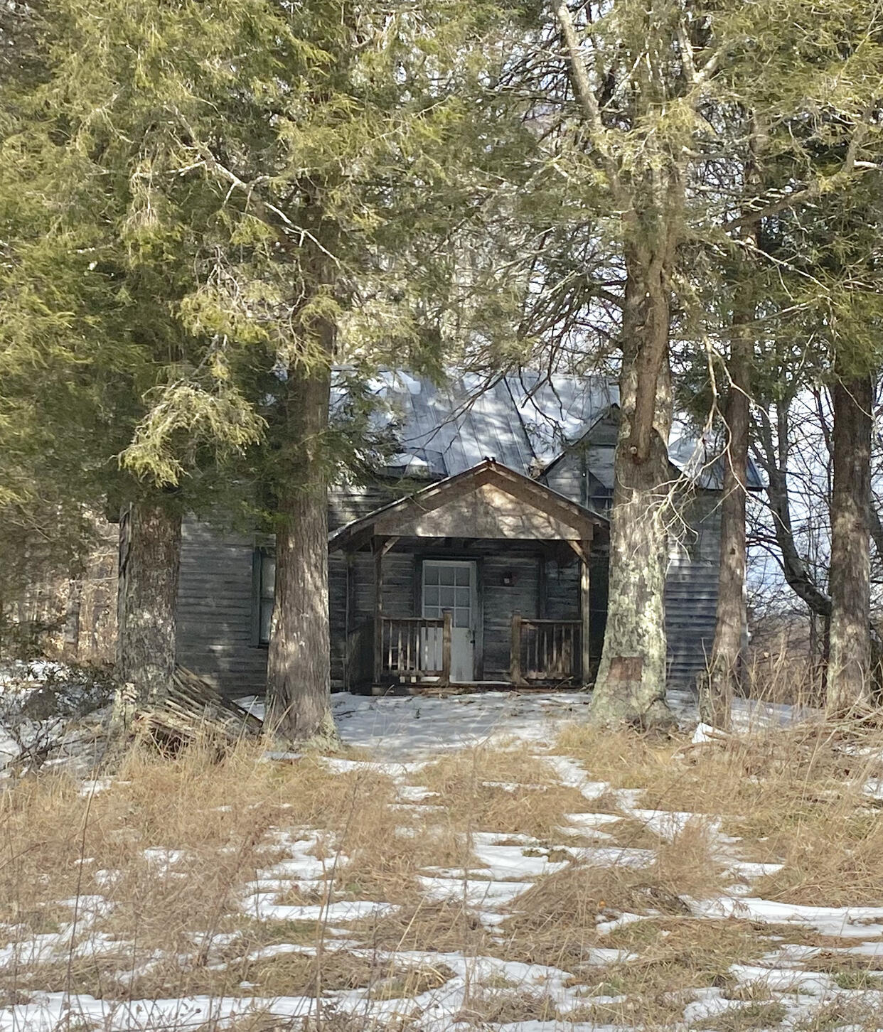 1741 Ripshin Mountain Road Roan Mountain, TN 37687 - Photo 5 of 42 7CFCC054-D1D0-401B-AE0E-B312C7EA129B