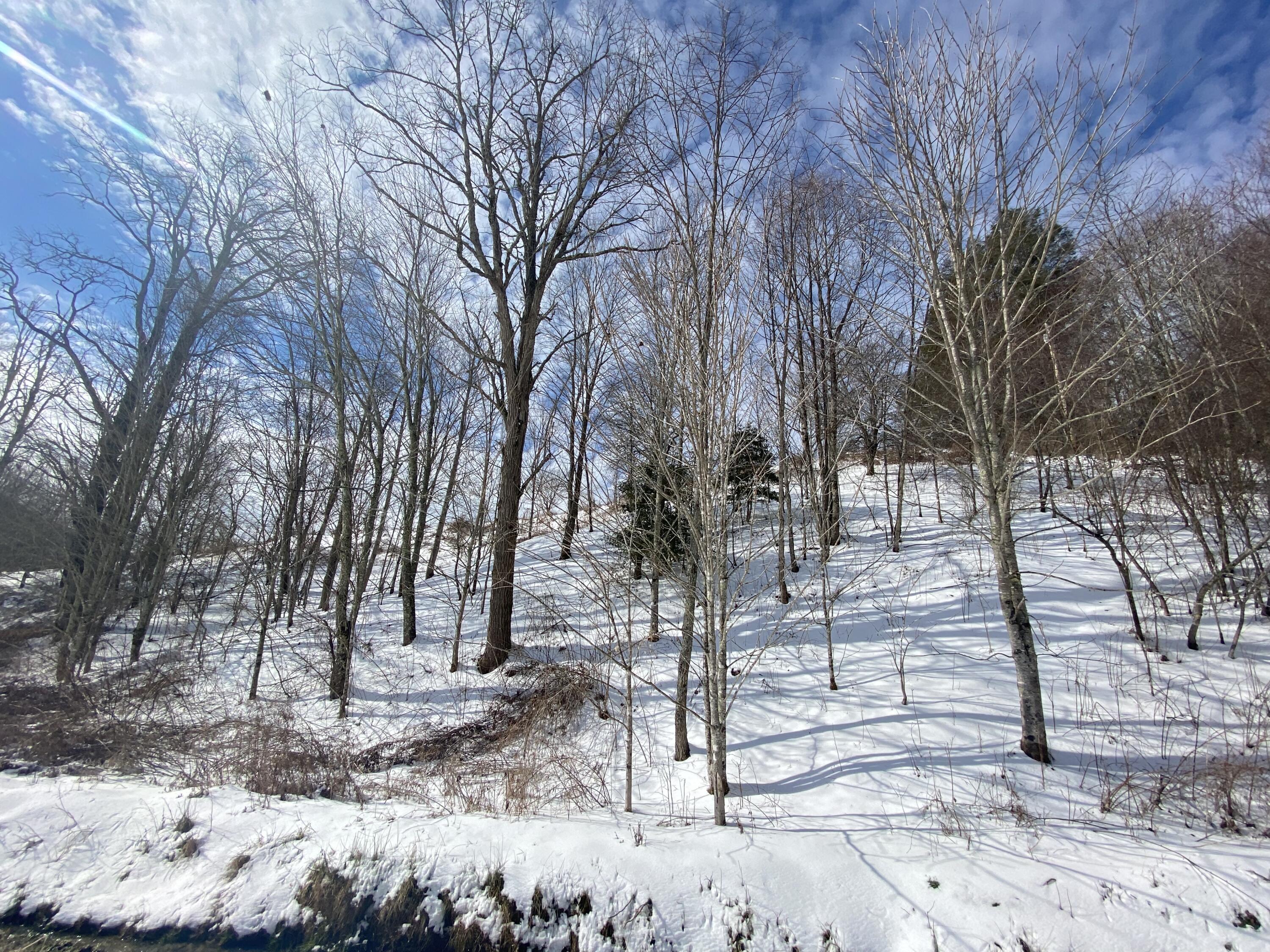 1741 Ripshin Mountain Road Roan Mountain, TN 37687 - Photo 7 of 42 2E93E906-ABC6-40A9-B799-3F0EAF0BA684